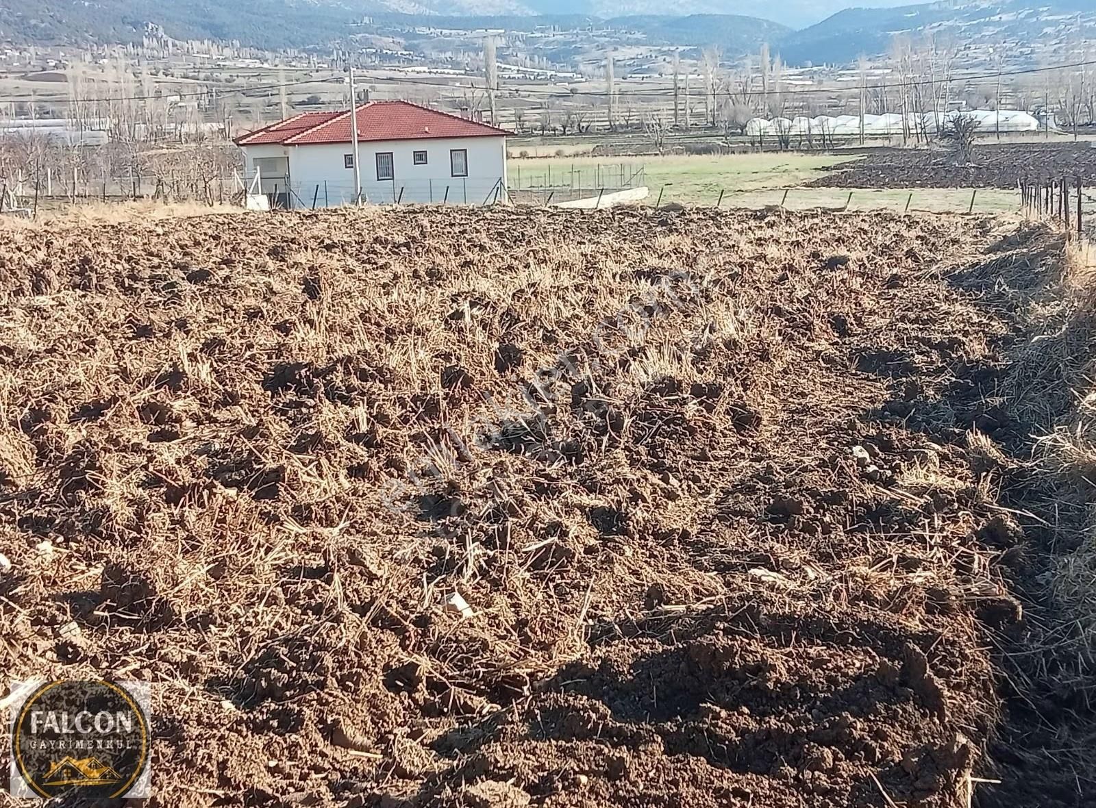 Falcon Dan Yaylaların Yaylası Bekciler De 3706m² Fırsat Arsa - Görsel 14