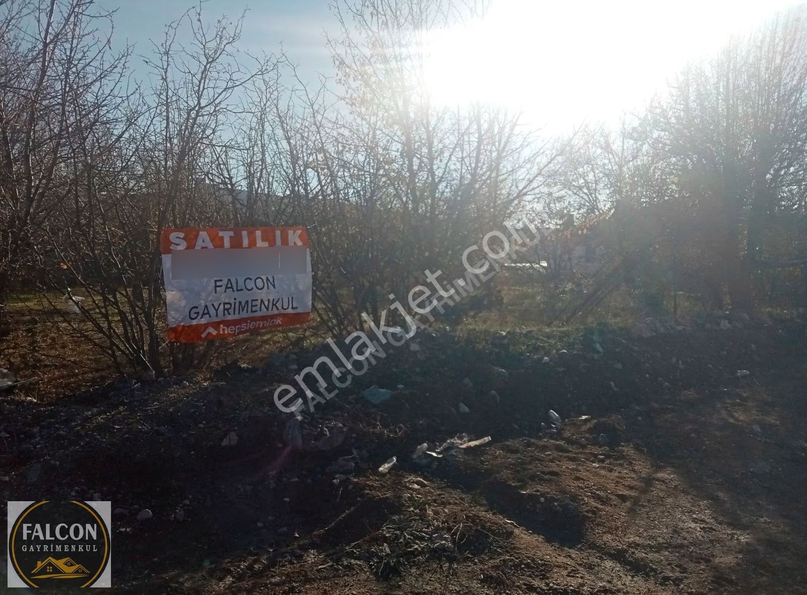 Falcon Dan Yaylaların Yaylası Bekciler De 3706m² Fırsat Arsa - Görsel 2