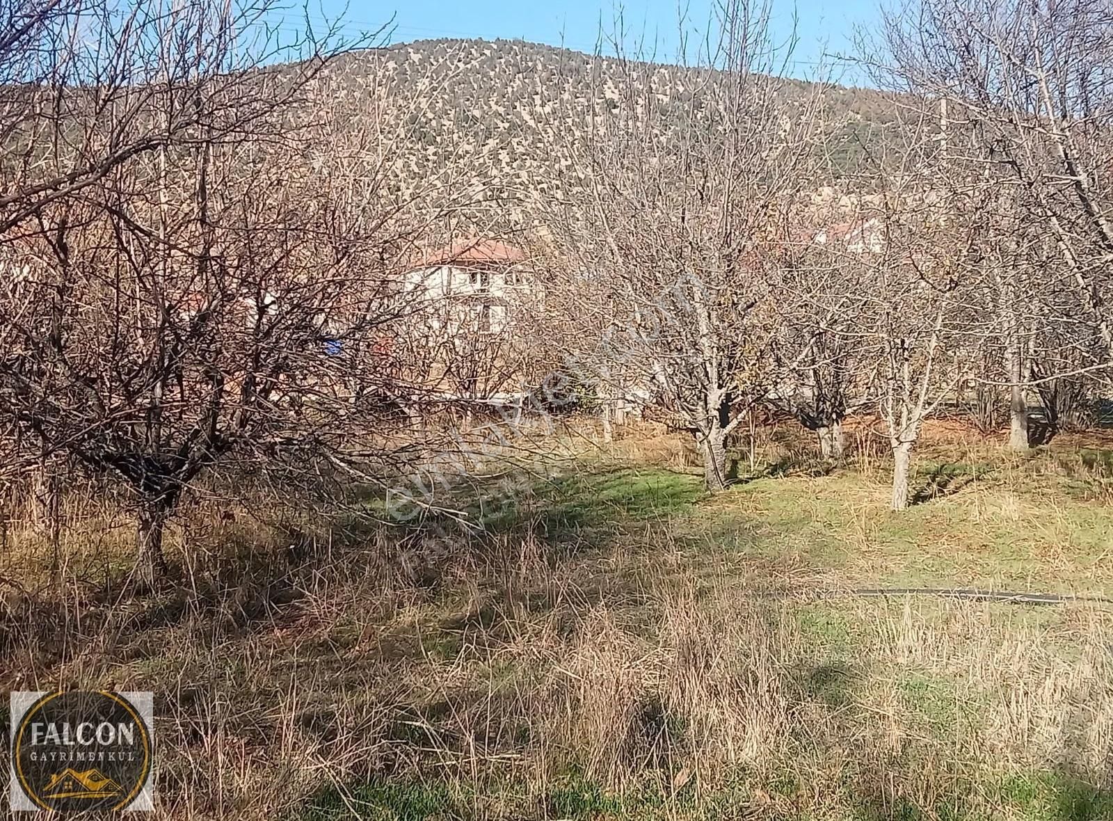 Falcon Dan Yaylaların Yaylası Bekciler De 3706m² Fırsat Arsa - Görsel 15