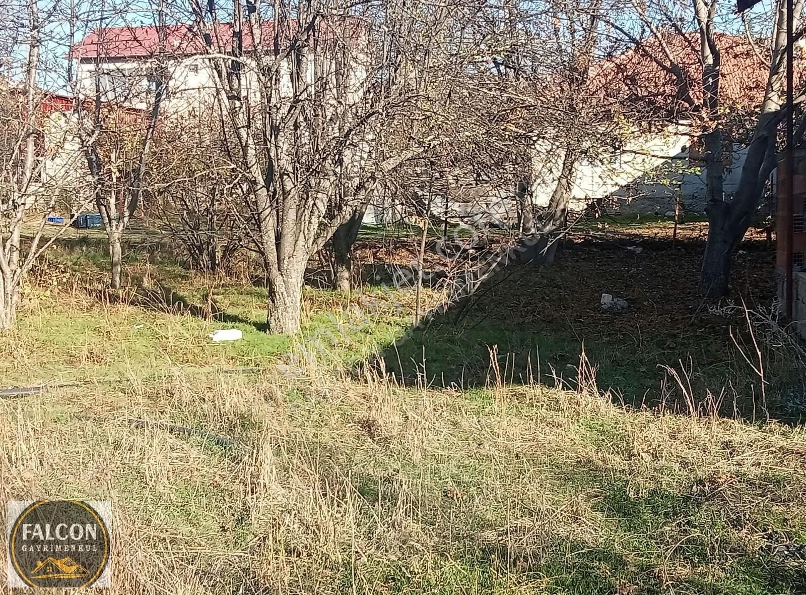 Falcon Dan Yaylaların Yaylası Bekciler De 3706m² Fırsat Arsa - Görsel 5