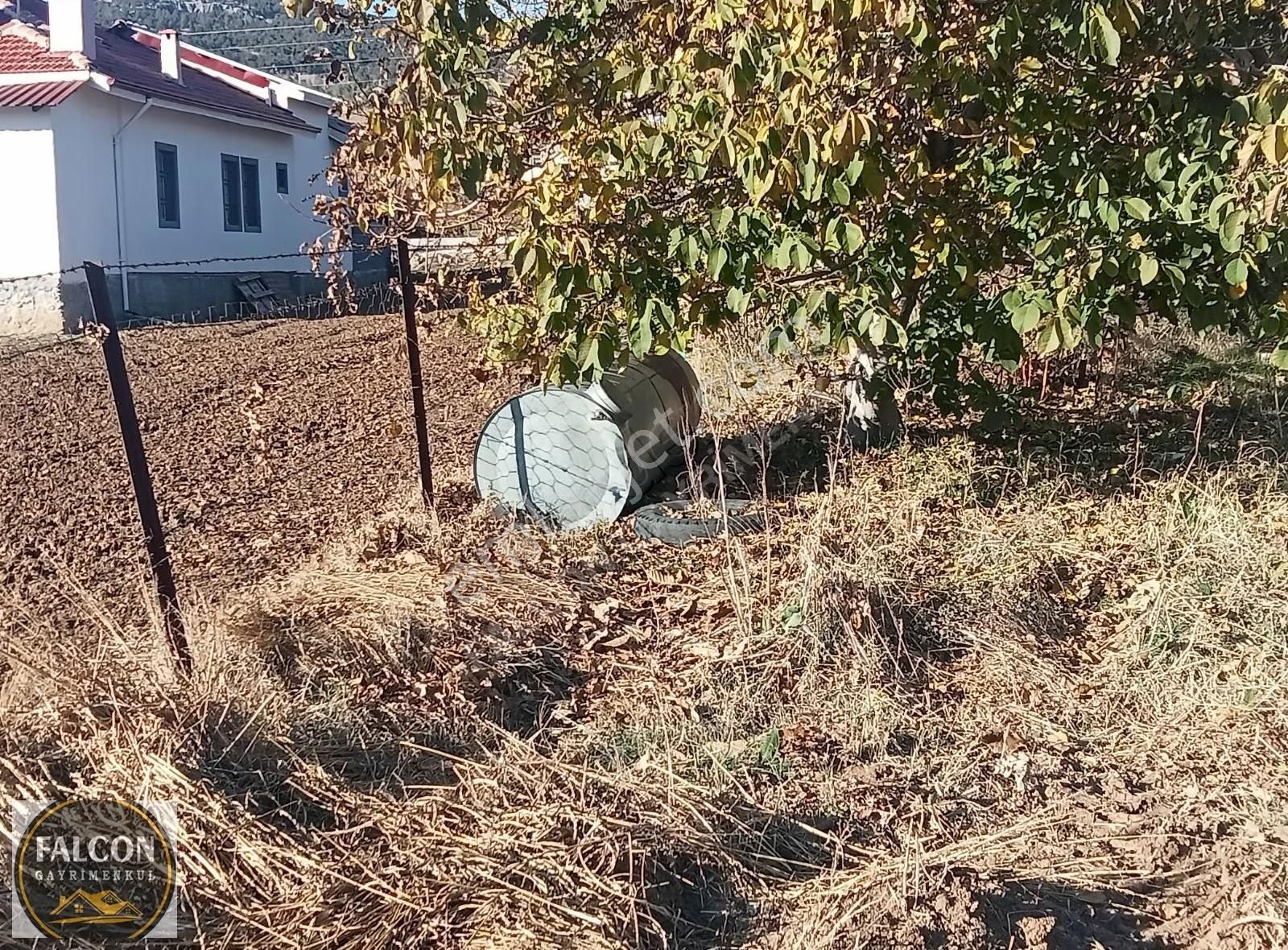 Falcon Dan Yaylaların Yaylası Bekciler De 3706m² Fırsat Arsa - Görsel 12