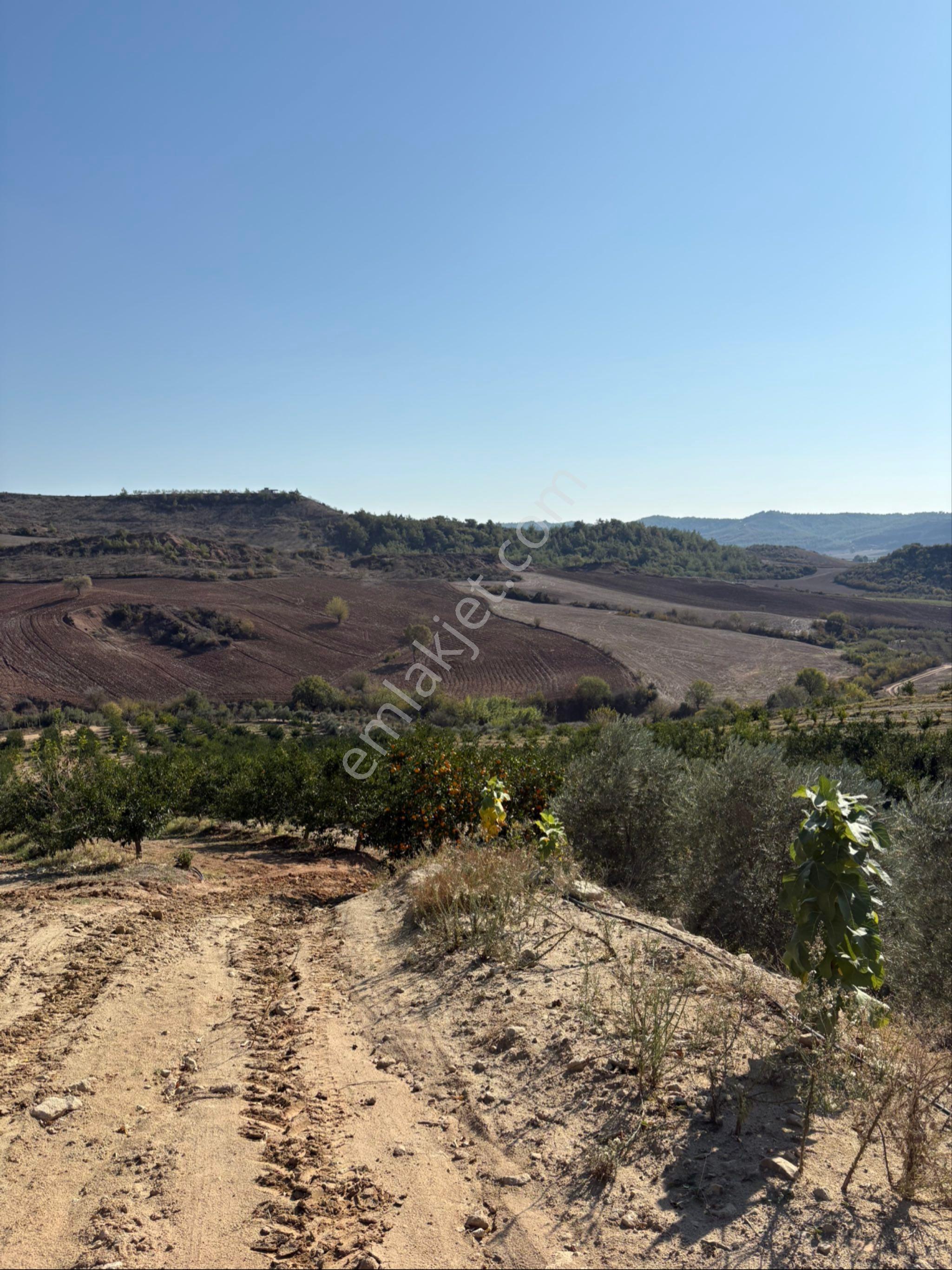 Karaisalı Kuzgunda Toplam 110.000 M2 Satılık Tarla - Görsel 27