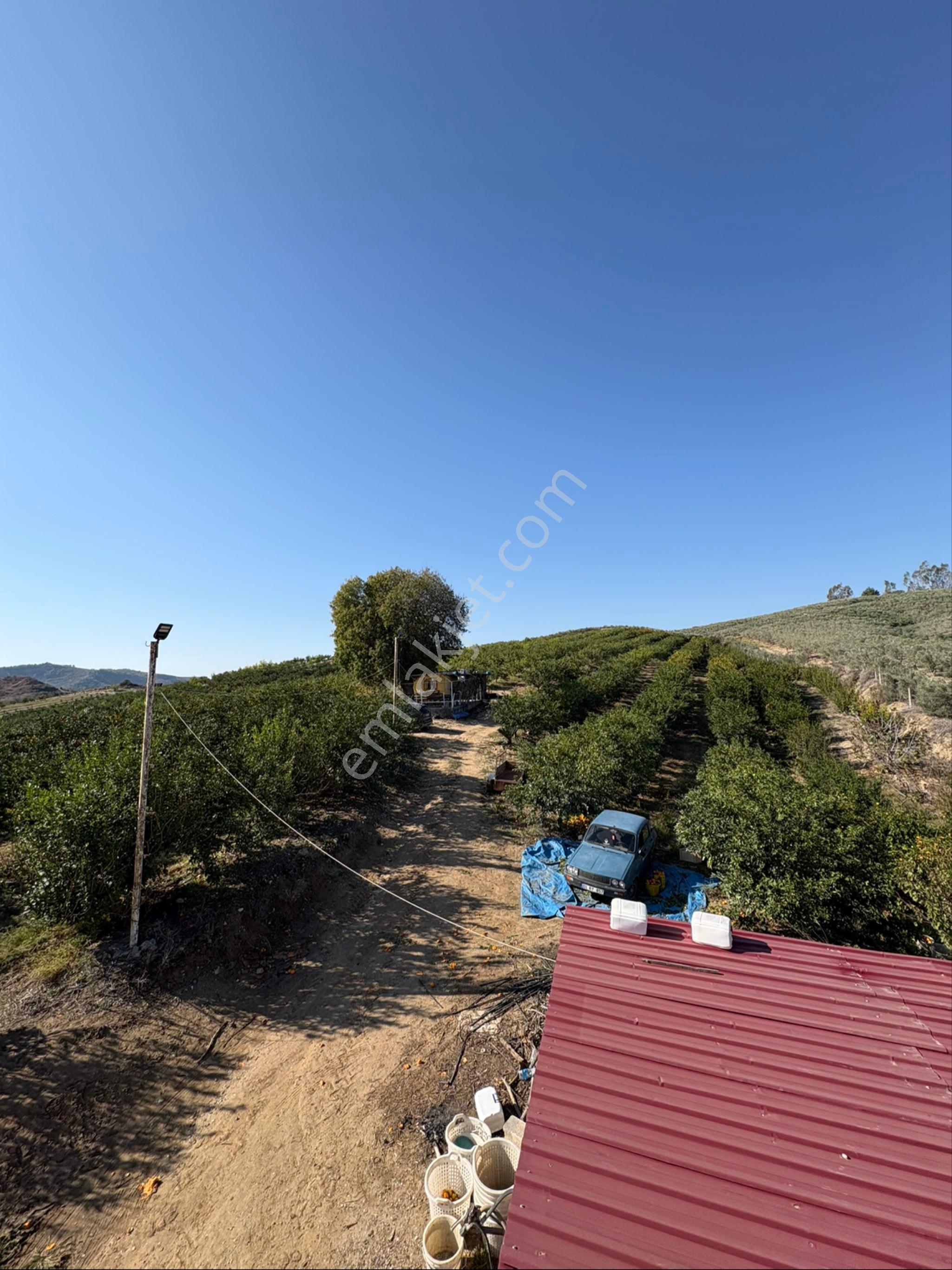 Karaisalı Kuzgunda Toplam 110.000 M2 Satılık Tarla - Görsel 16