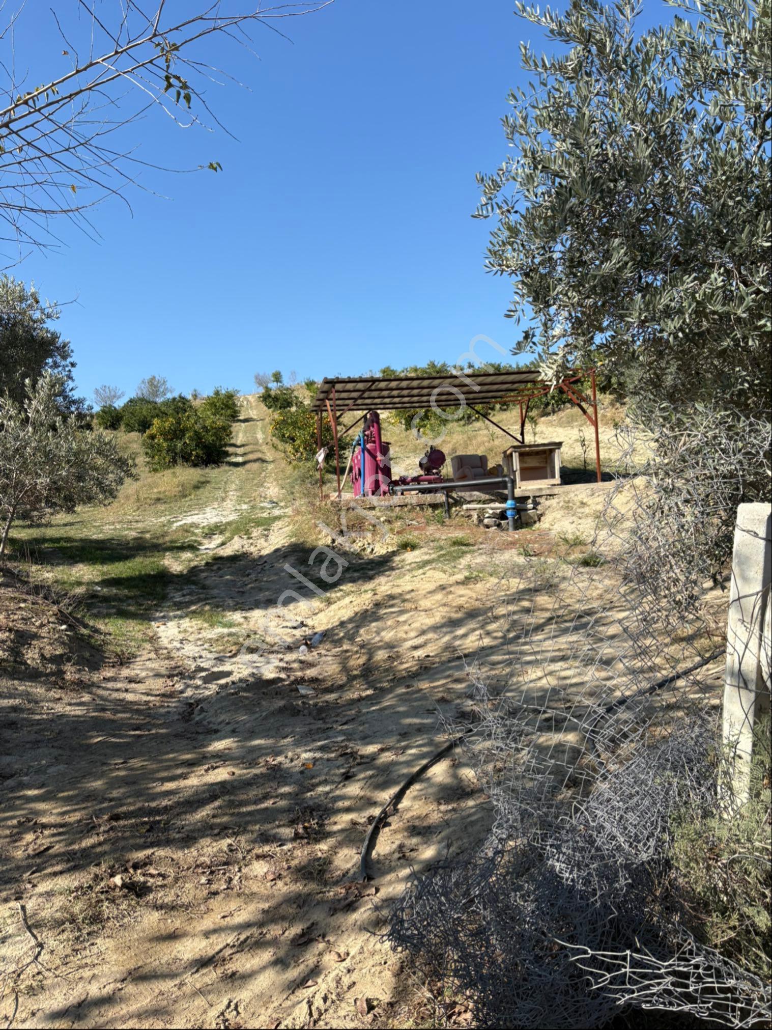 Karaisalı Kuzgunda Toplam 110.000 M2 Satılık Tarla - Görsel 33