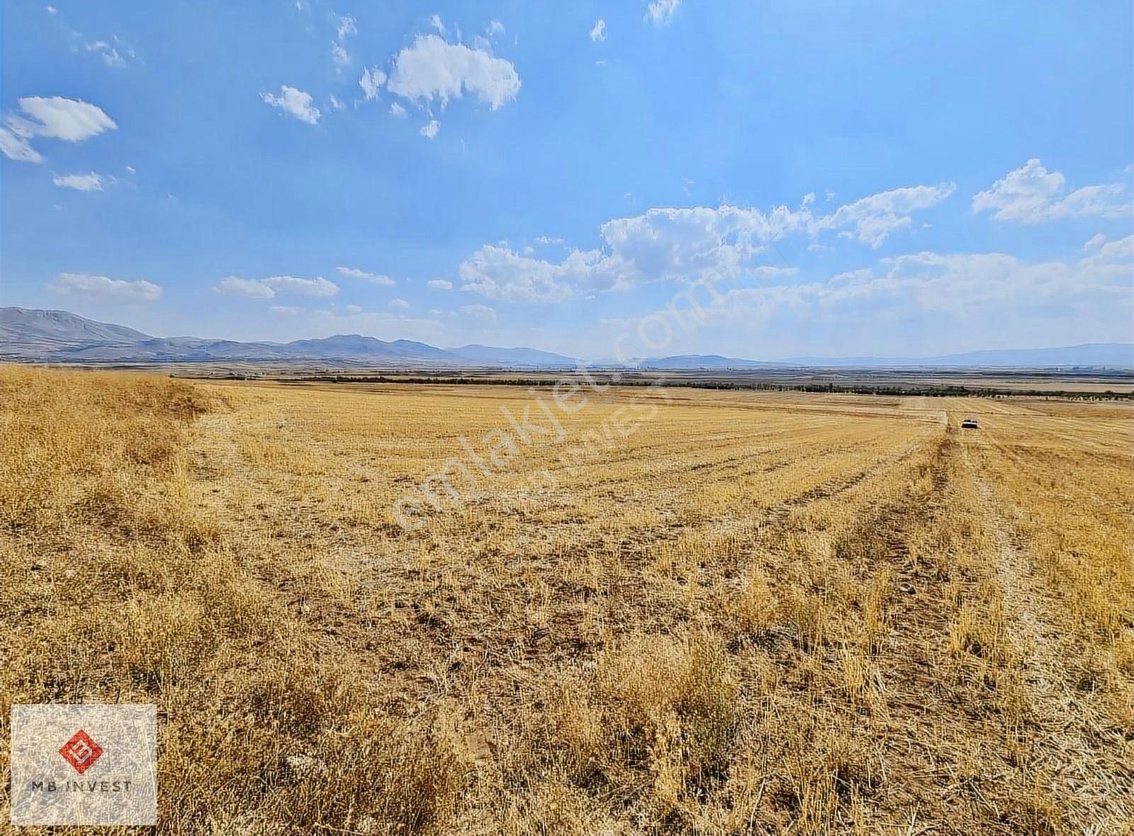 Fiyat Düştü 7456 M2 Tek Tapu Kemer Yakalar'da Yatırımlık Tarla - Görsel 2