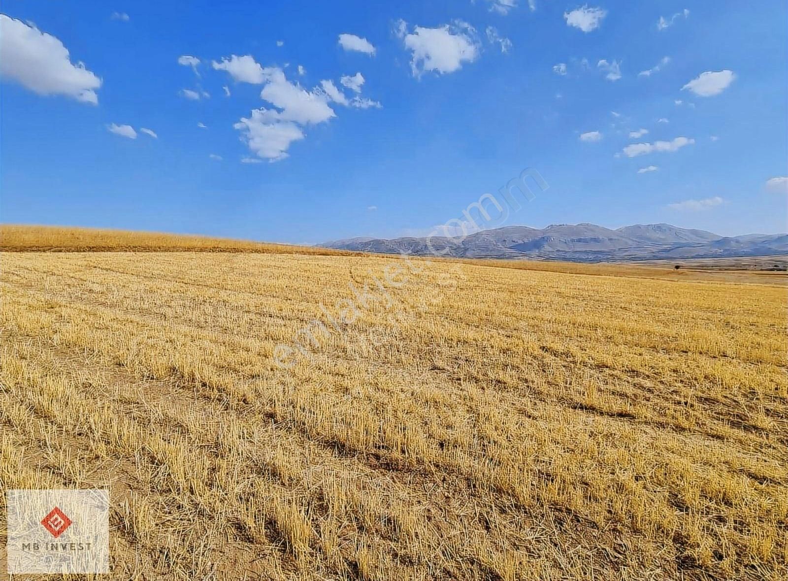 Fiyat Düştü 7456 M2 Tek Tapu Kemer Yakalar'da Yatırımlık Tarla - Görsel 7