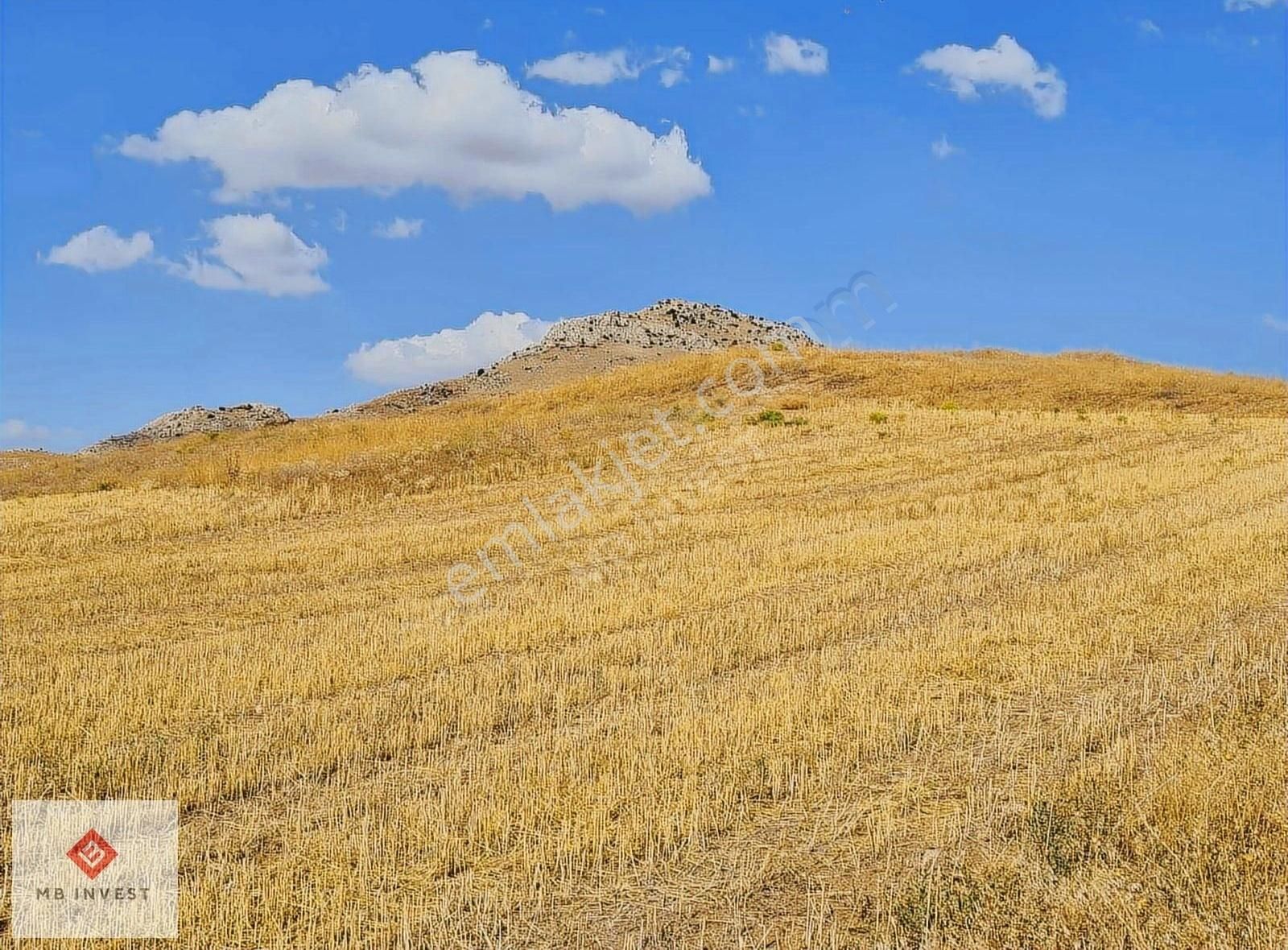 Fiyat Düştü 7456 M2 Tek Tapu Kemer Yakalar'da Yatırımlık Tarla - Görsel 10