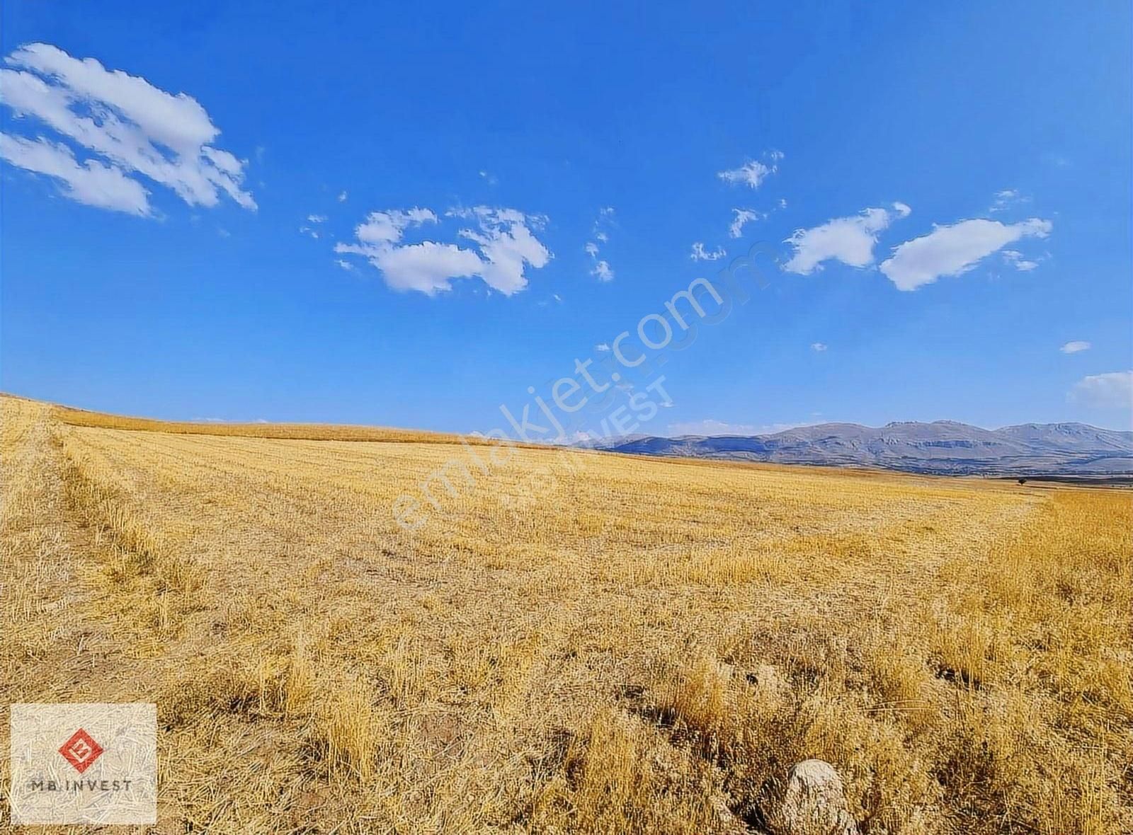 Fiyat Düştü 7456 M2 Tek Tapu Kemer Yakalar'da Yatırımlık Tarla