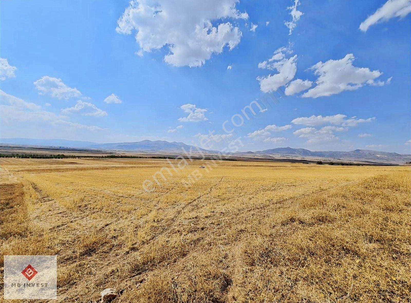 Fiyat Düştü 7456 M2 Tek Tapu Kemer Yakalar'da Yatırımlık Tarla - Görsel 5