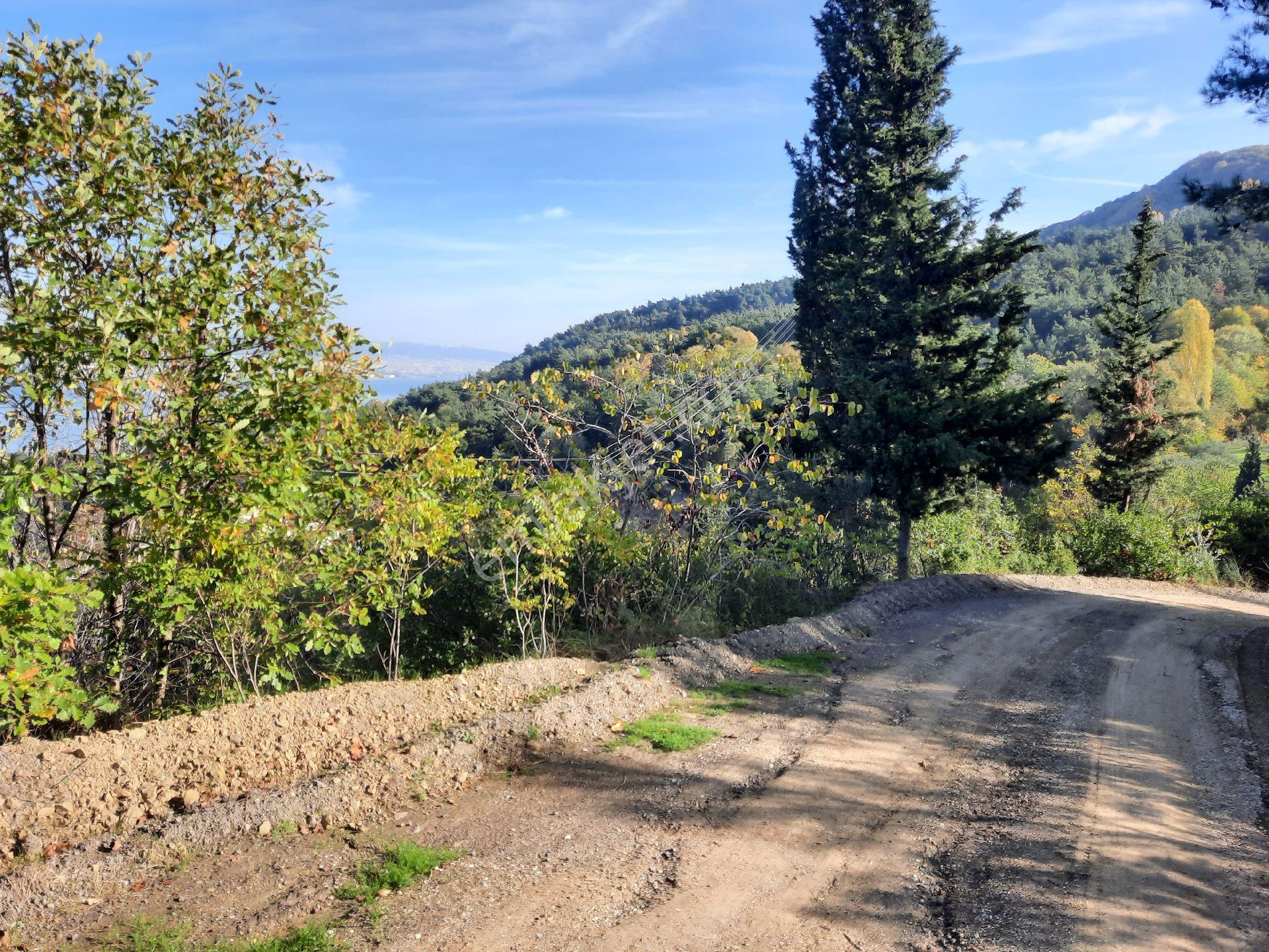 Ulasli'da Panoramik Deniz Manzarali Villa Imarli Arsa - Görsel 2