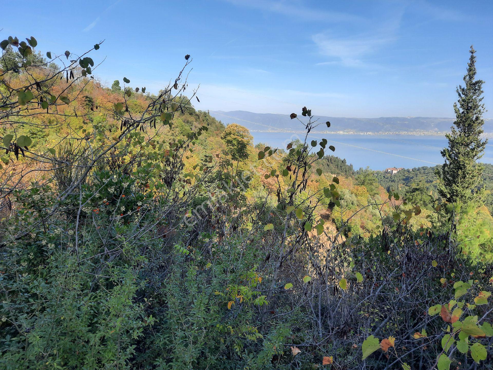 Ulasli'da Panoramik Deniz Manzarali Villa Imarli Arsa - Görsel 3