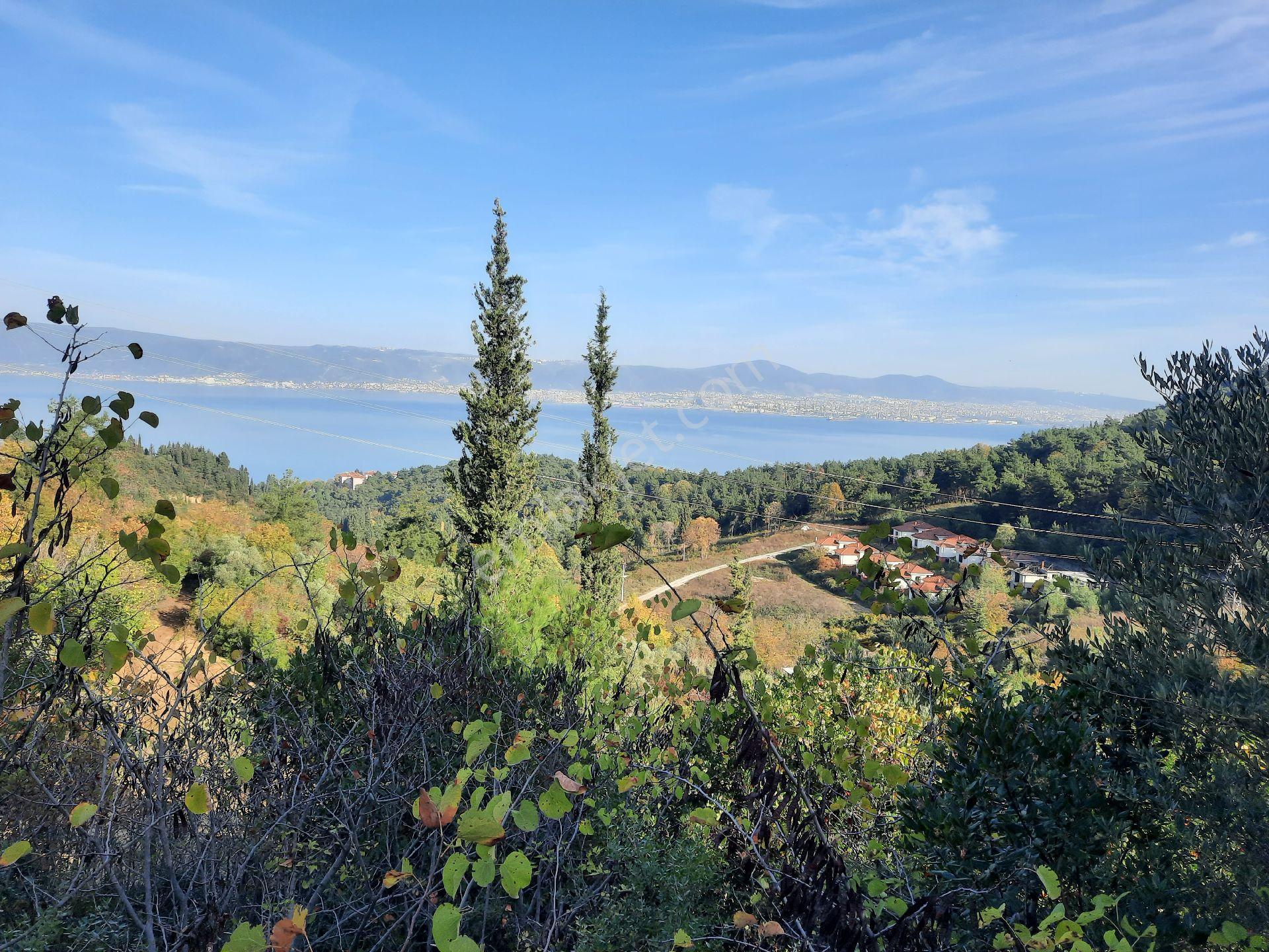 Ulasli'da Panoramik Deniz Manzarali Villa Imarli Arsa