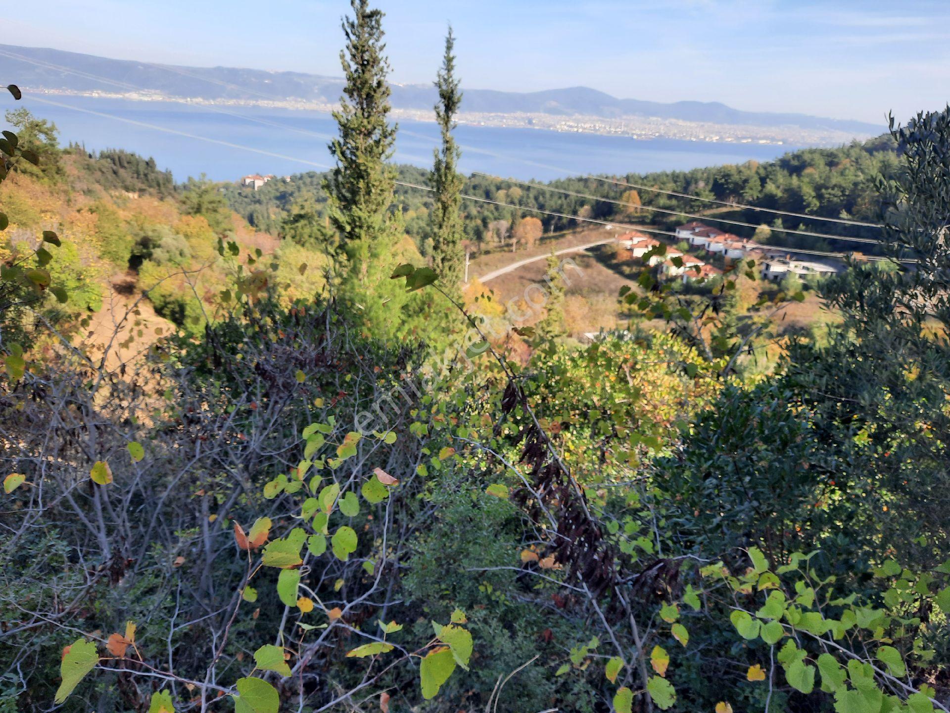 Ulasli'da Panoramik Deniz Manzarali Villa Imarli Arsa - Görsel 13