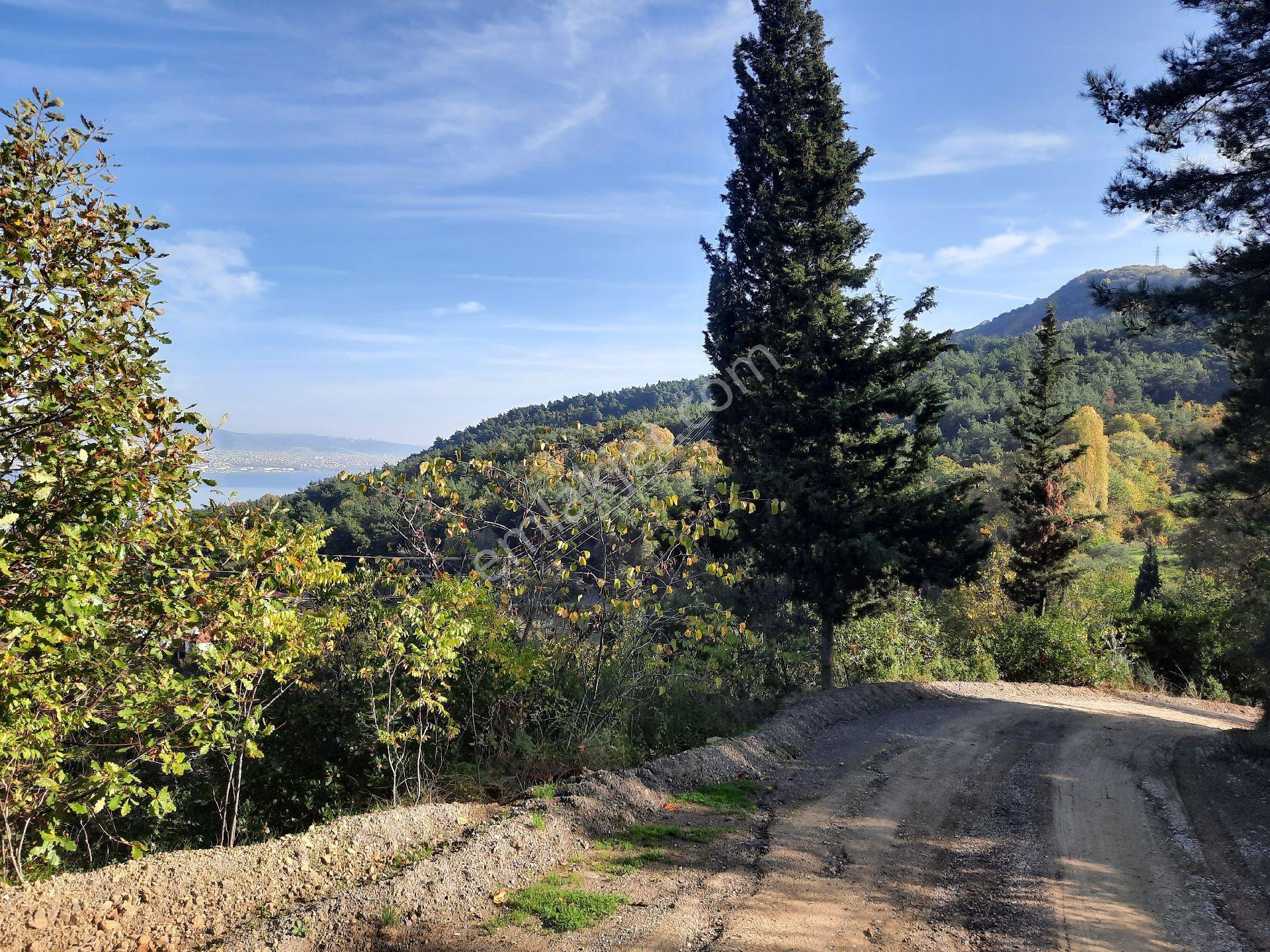 Ulasli'da Panoramik Deniz Manzarali Villa Imarli Arsa - Görsel 4