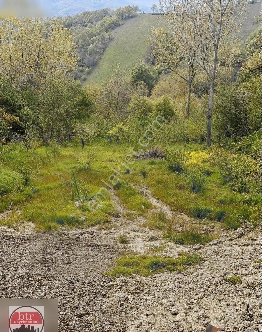 Bursa/mustafakemalpaşa/şapçı Mahallesi Hobbit Taş Ev - Görsel 24