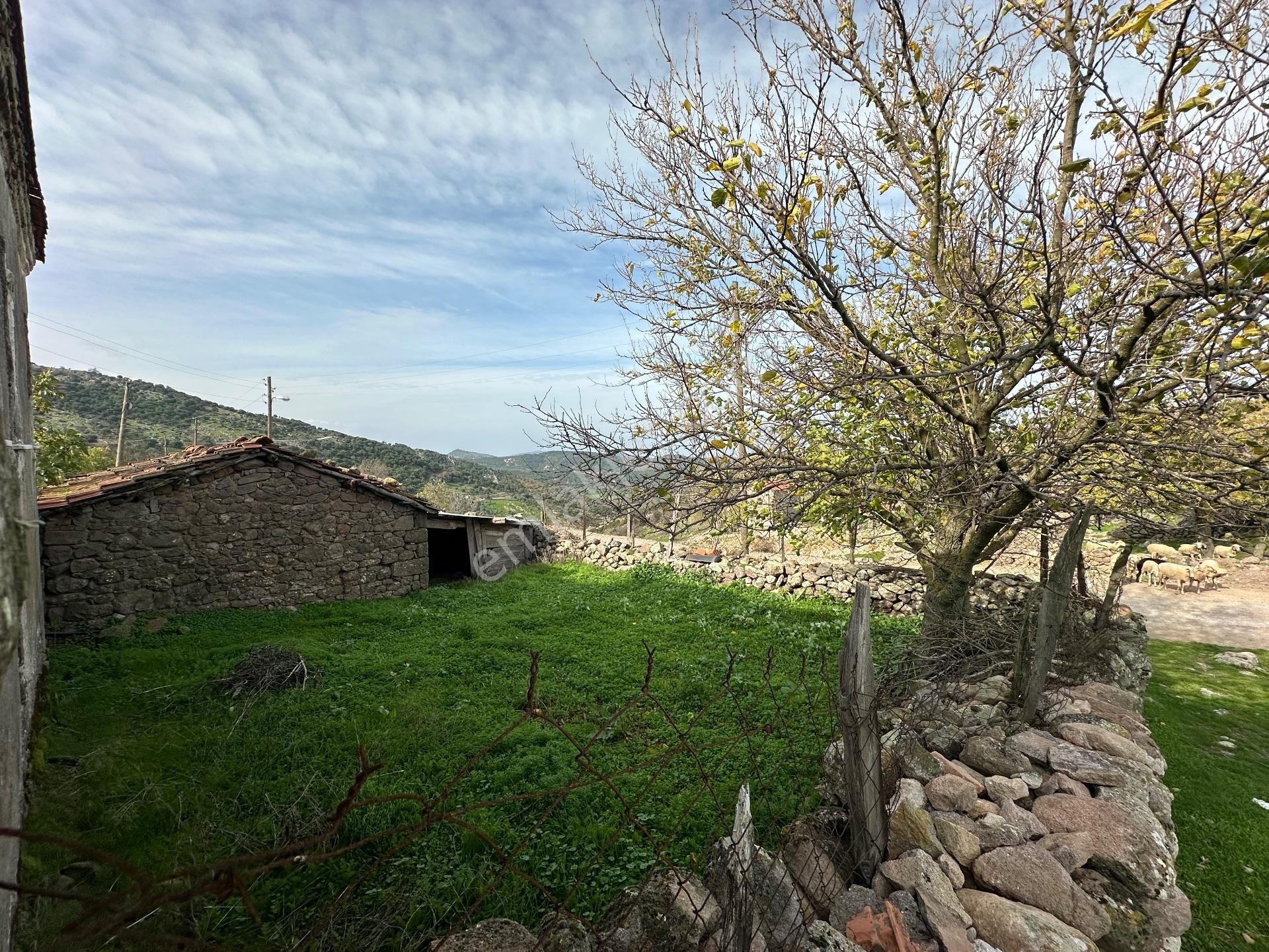 Eşsiz Doğa Ve Tarihle İç İçe Çınarpınar Köyü'nde 385 M2 Arsa İçinde 2+1 Taş Ev - Görsel 24