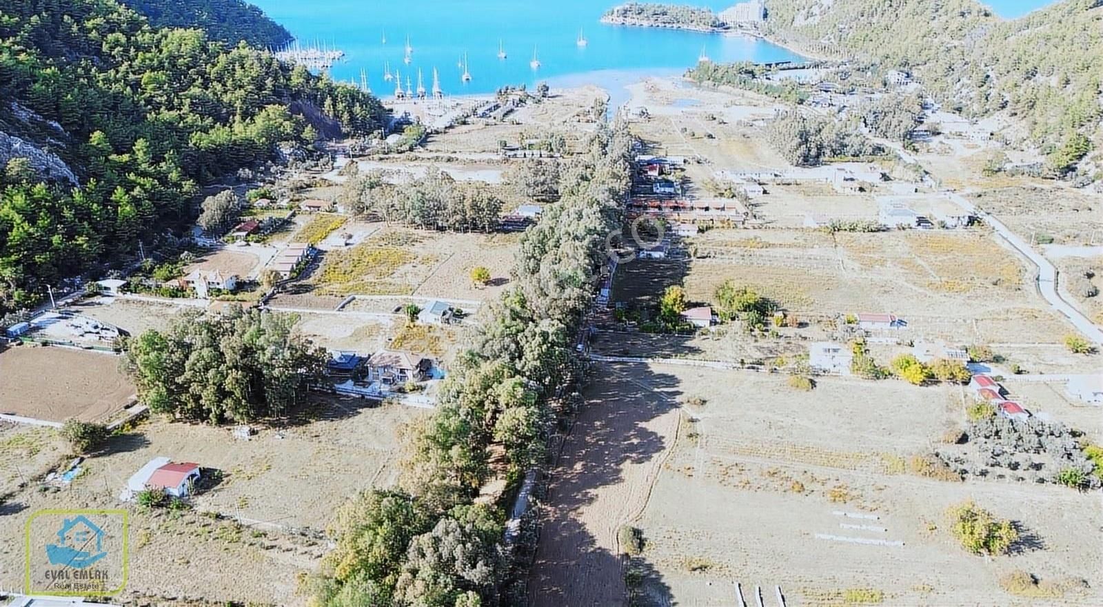 Marmaris Turgut Köyünde Denize 600m Yola Cepheli Satılık Tarla - Görsel 2