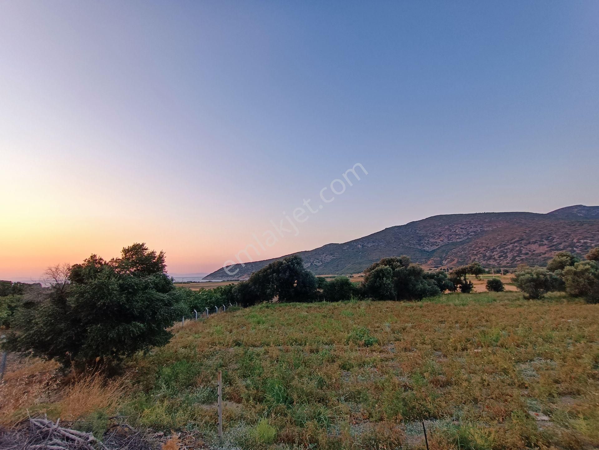 Rest Emlak - Yolu Olan , Denize Yakın Tarla - Görsel 25