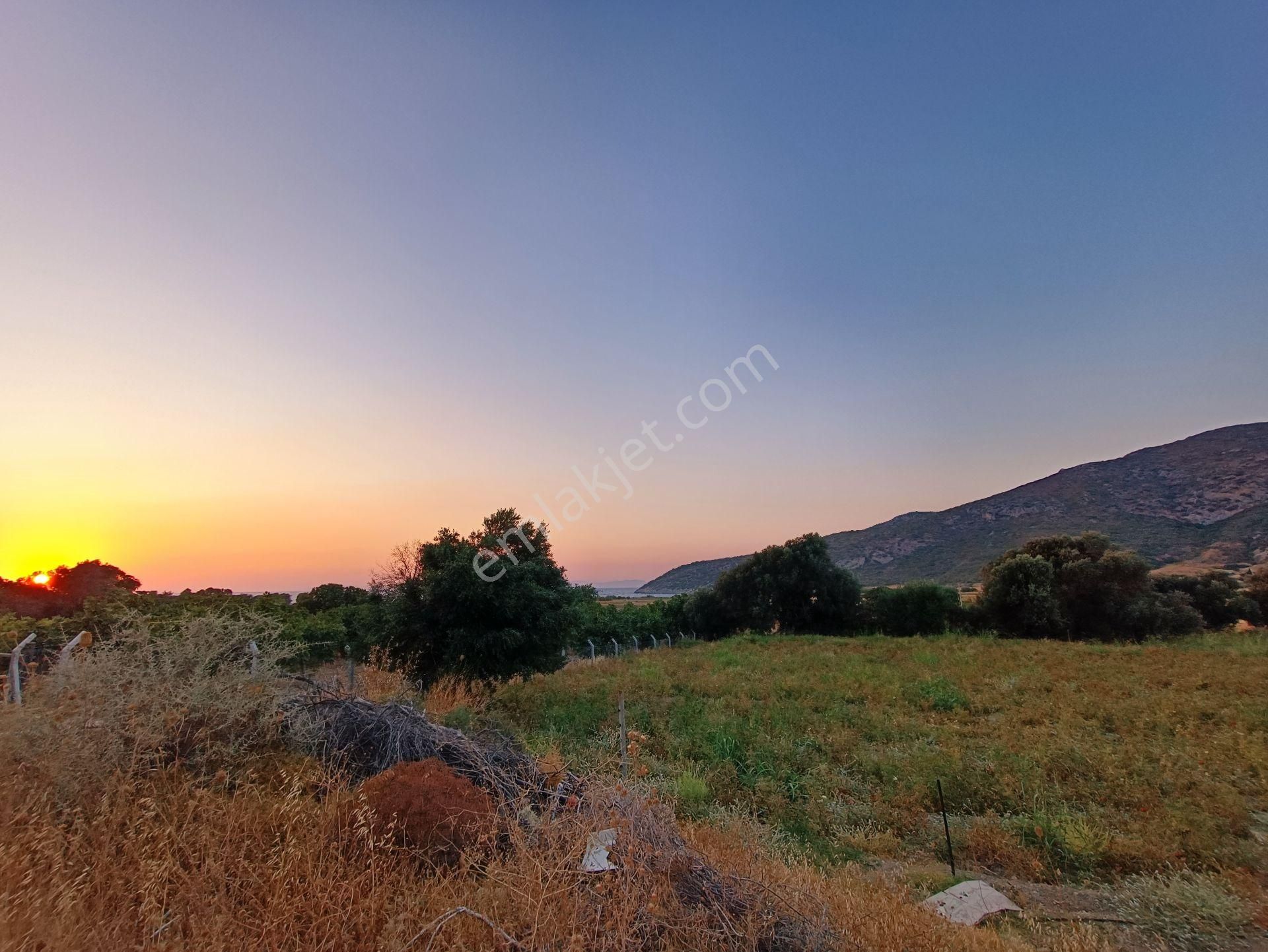 Rest Emlak - Yolu Olan , Denize Yakın Tarla - Görsel 24