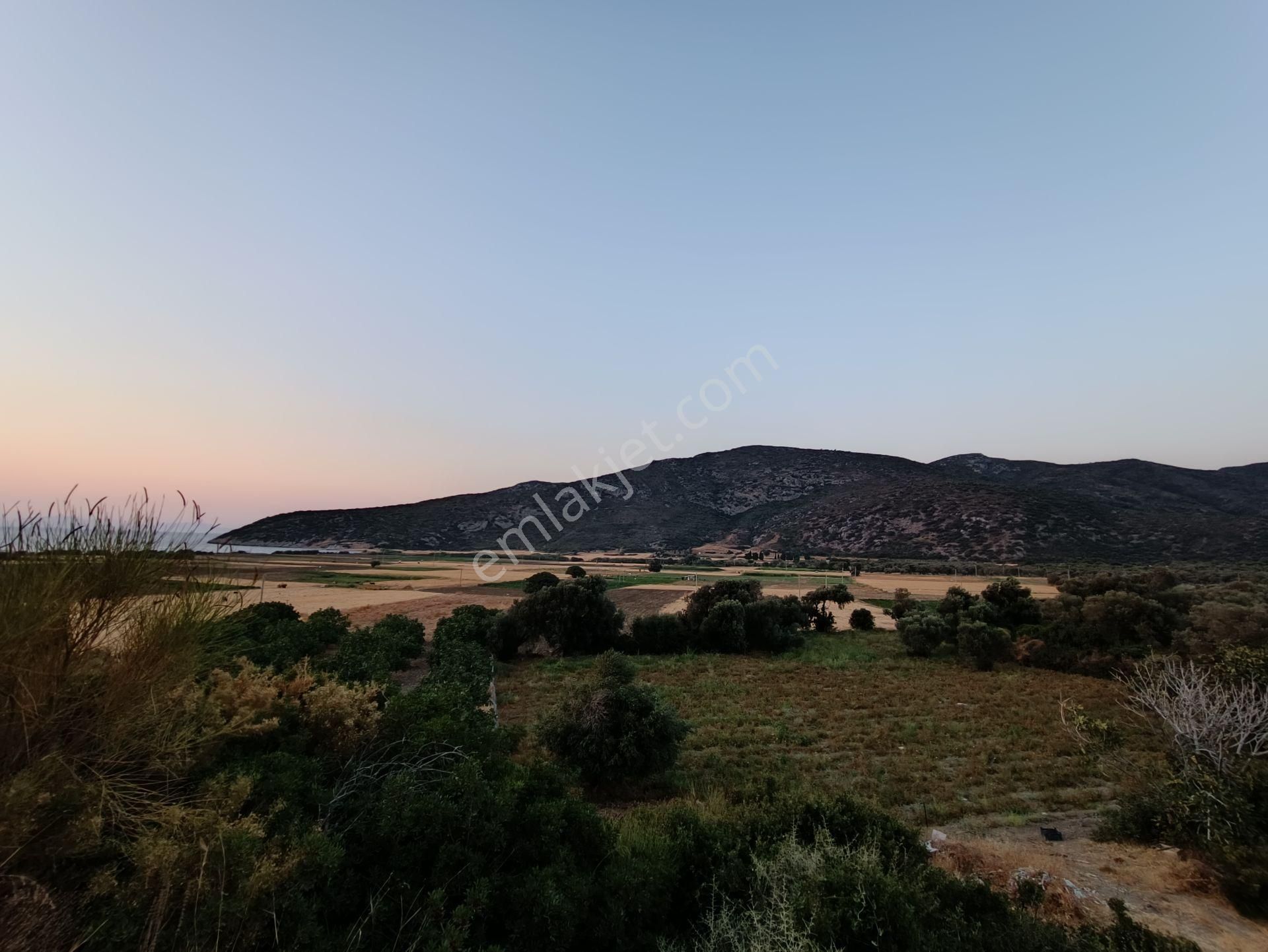 Rest Emlak - Yolu Olan , Denize Yakın Tarla - Görsel 33