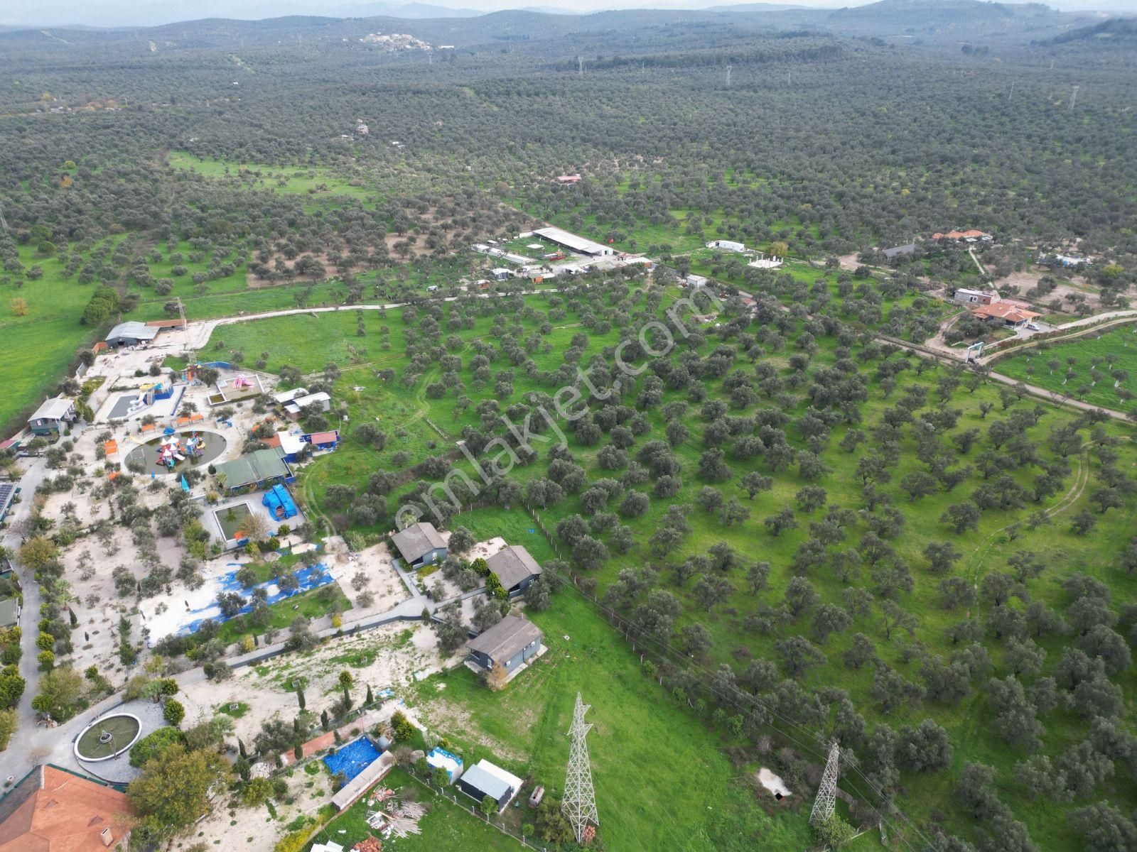 Ayvalık Fethiye’de Yola Yakın Satılık - Görsel 13