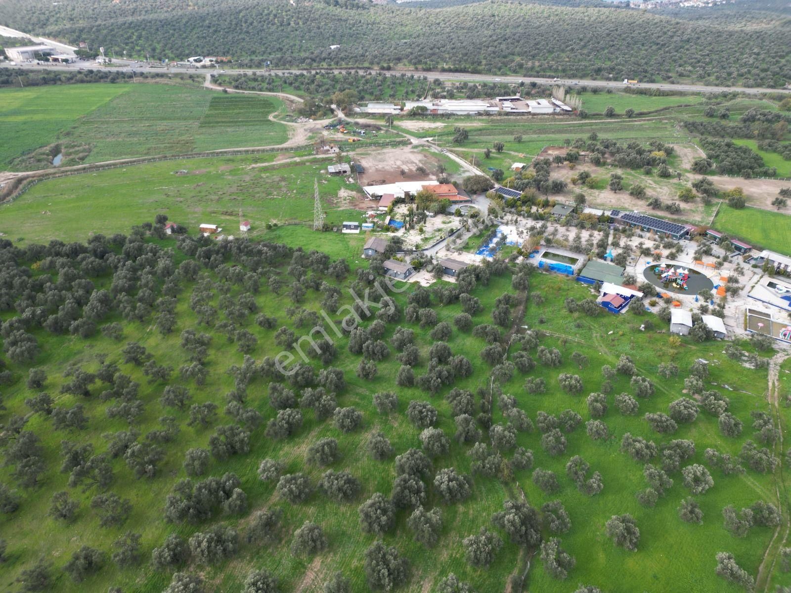 Ayvalık Fethiye’de Yola Yakın Satılık - Görsel 21