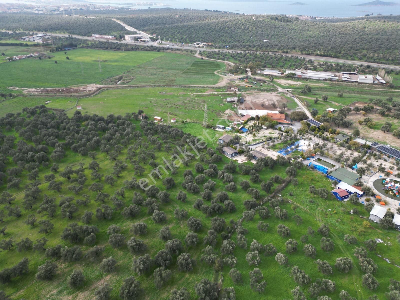 Ayvalık Fethiye’de Yola Yakın Satılık - Görsel 16