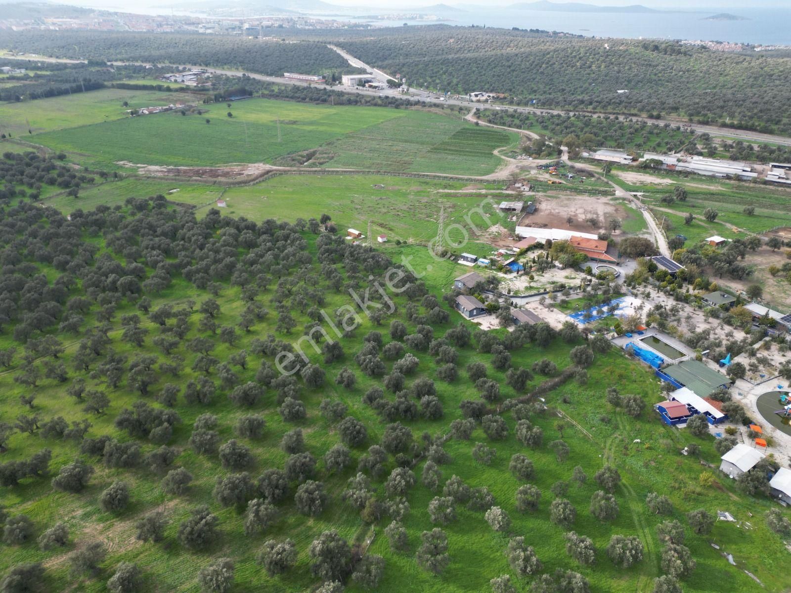 Ayvalık Fethiye’de Yola Yakın Satılık - Görsel 20
