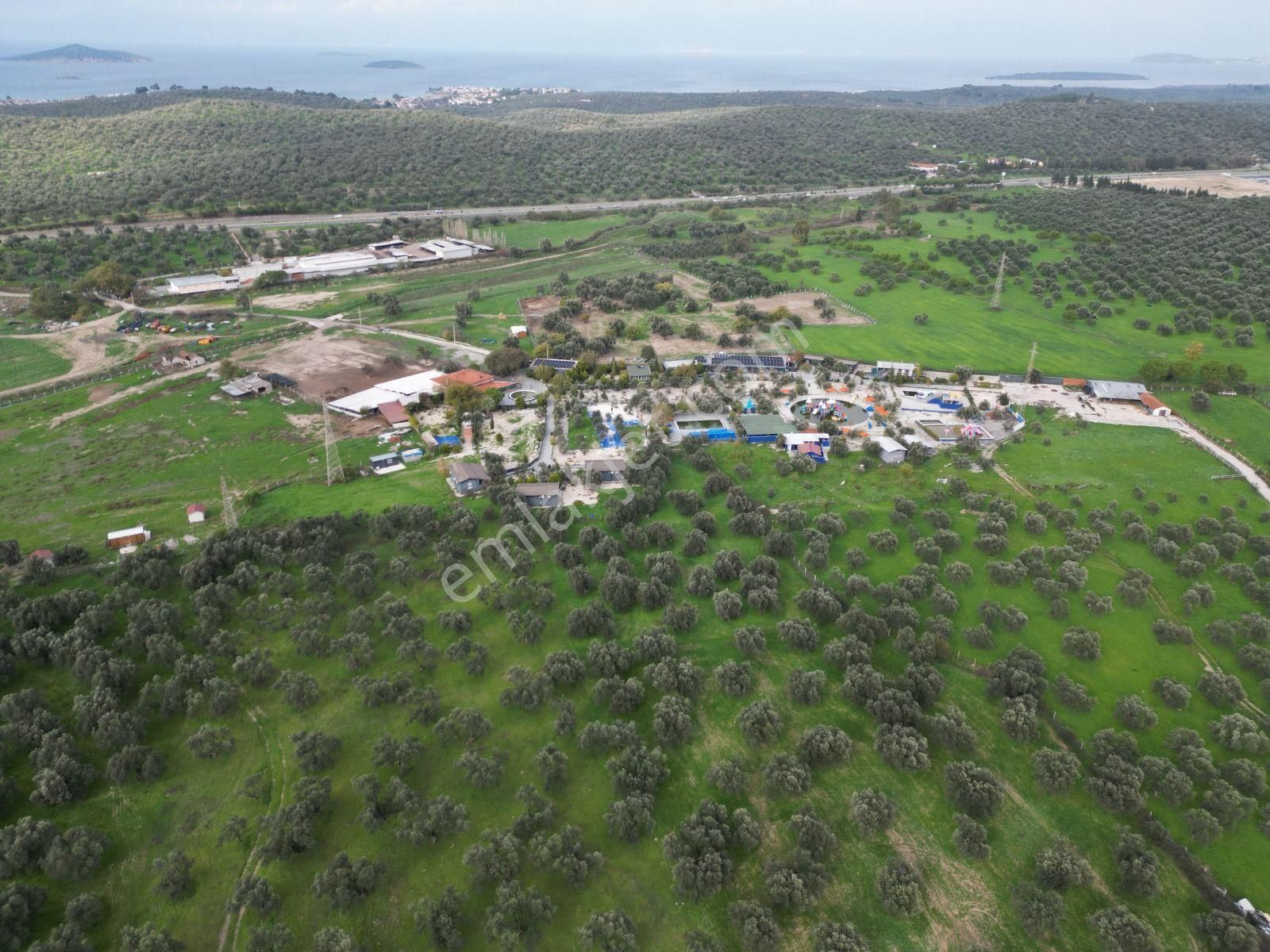 Ayvalık Fethiye’de Yola Yakın Satılık - Görsel 27