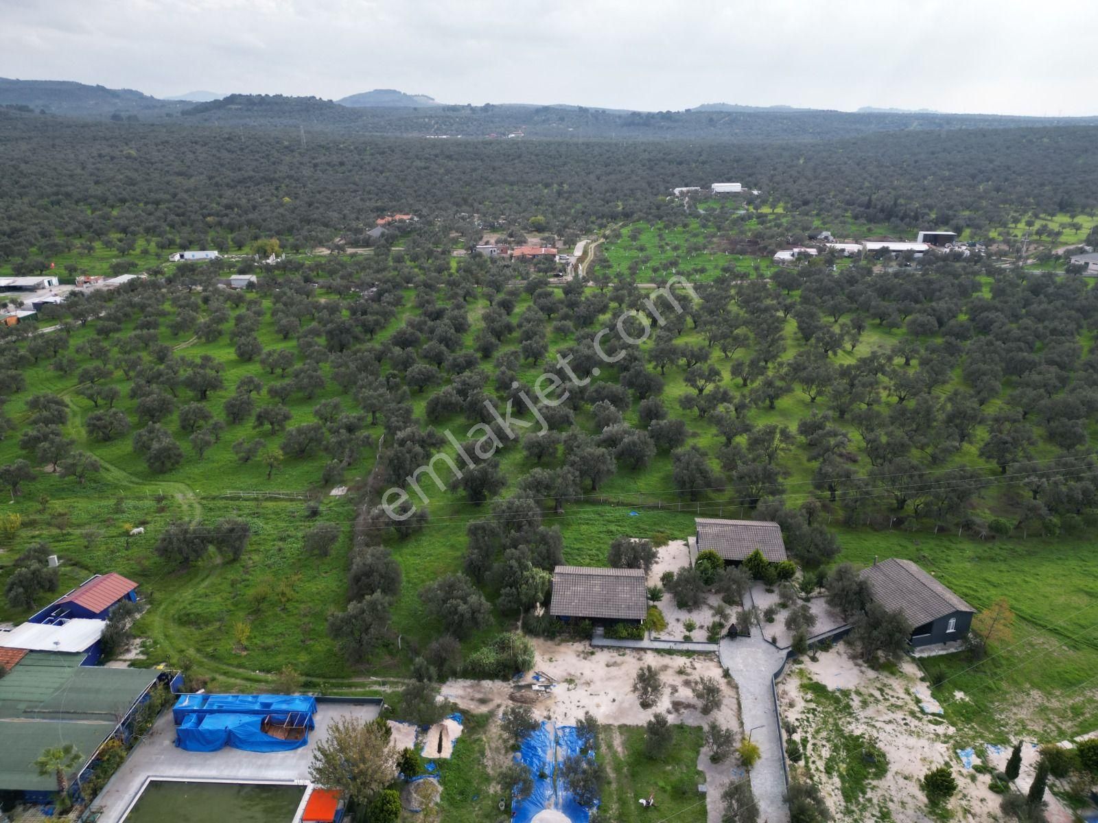 Ayvalık Fethiye’de Yola Yakın Satılık - Görsel 2
