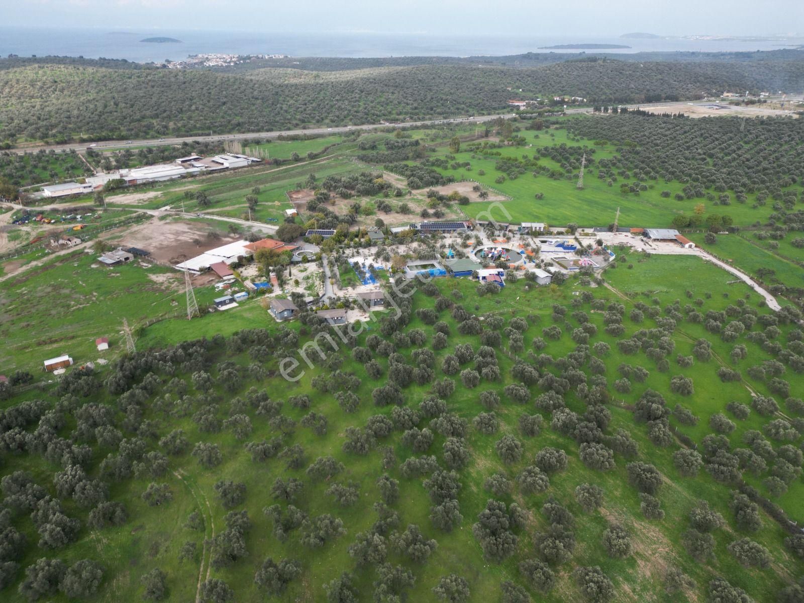 Ayvalık Fethiye’de Yola Yakın Satılık - Görsel 26