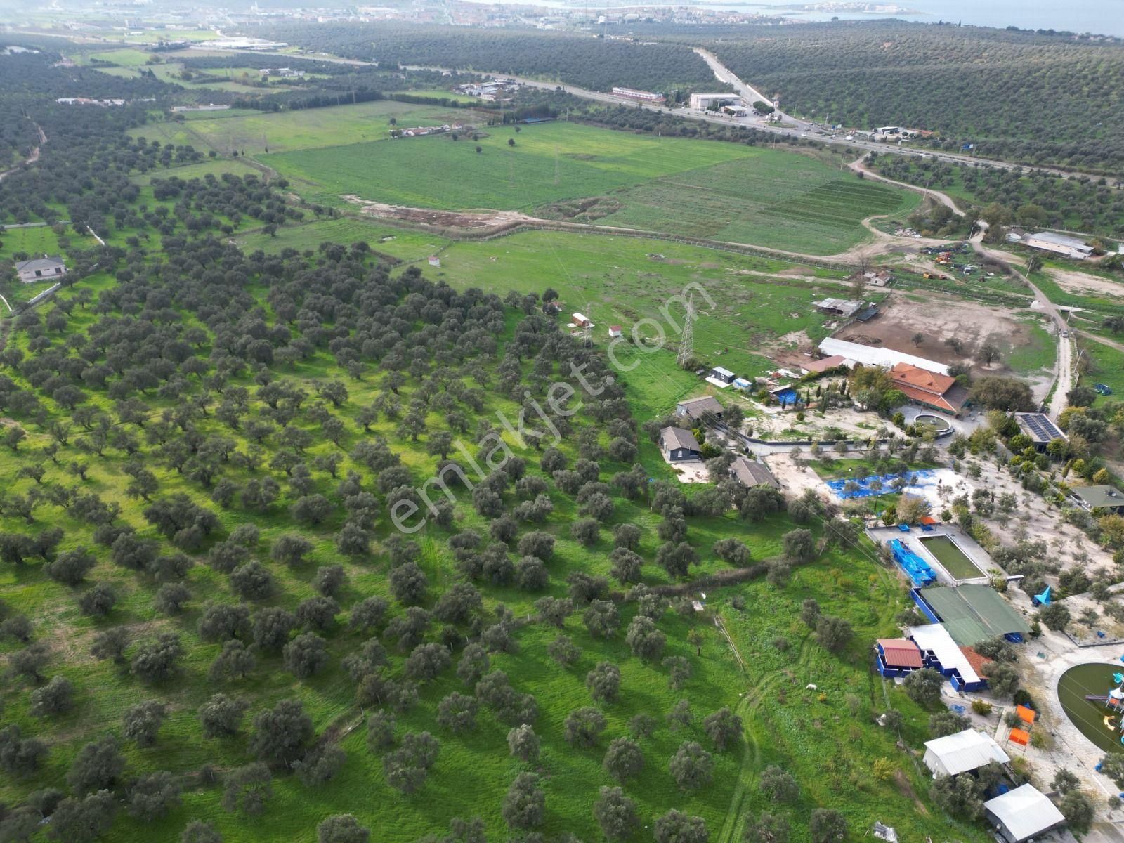 Ayvalık Fethiye’de Yola Yakın Satılık - Görsel 17