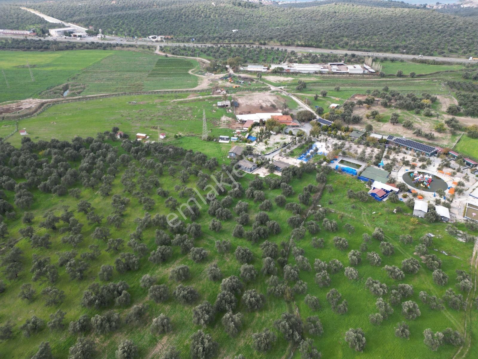 Ayvalık Fethiye’de Yola Yakın Satılık - Görsel 22