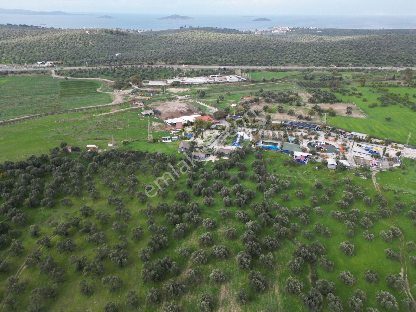 Ayvalık Fethiye’de Yola Yakın Satılık - Görsel 24