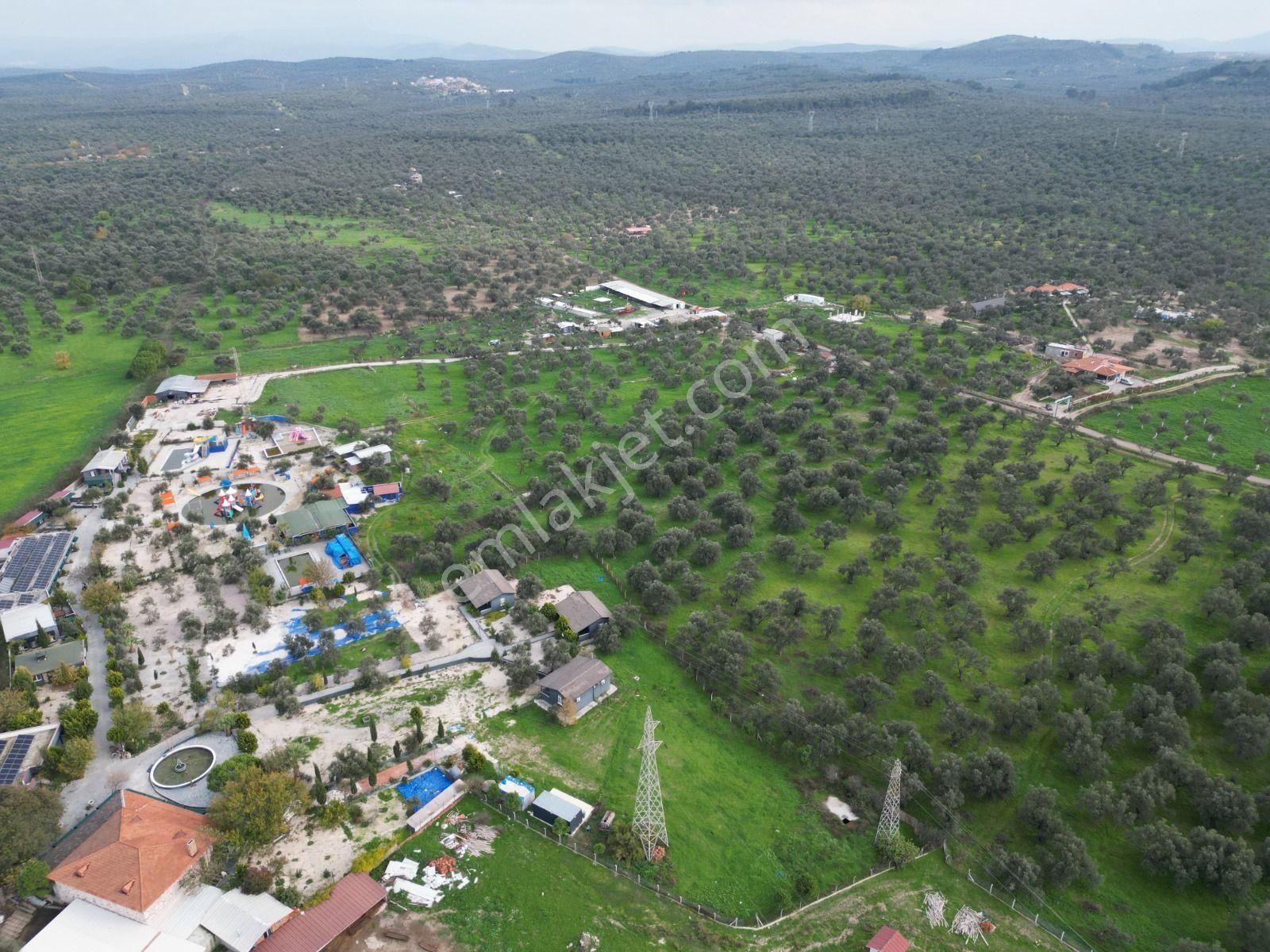 Ayvalık Fethiye’de Yola Yakın Satılık - Görsel 7