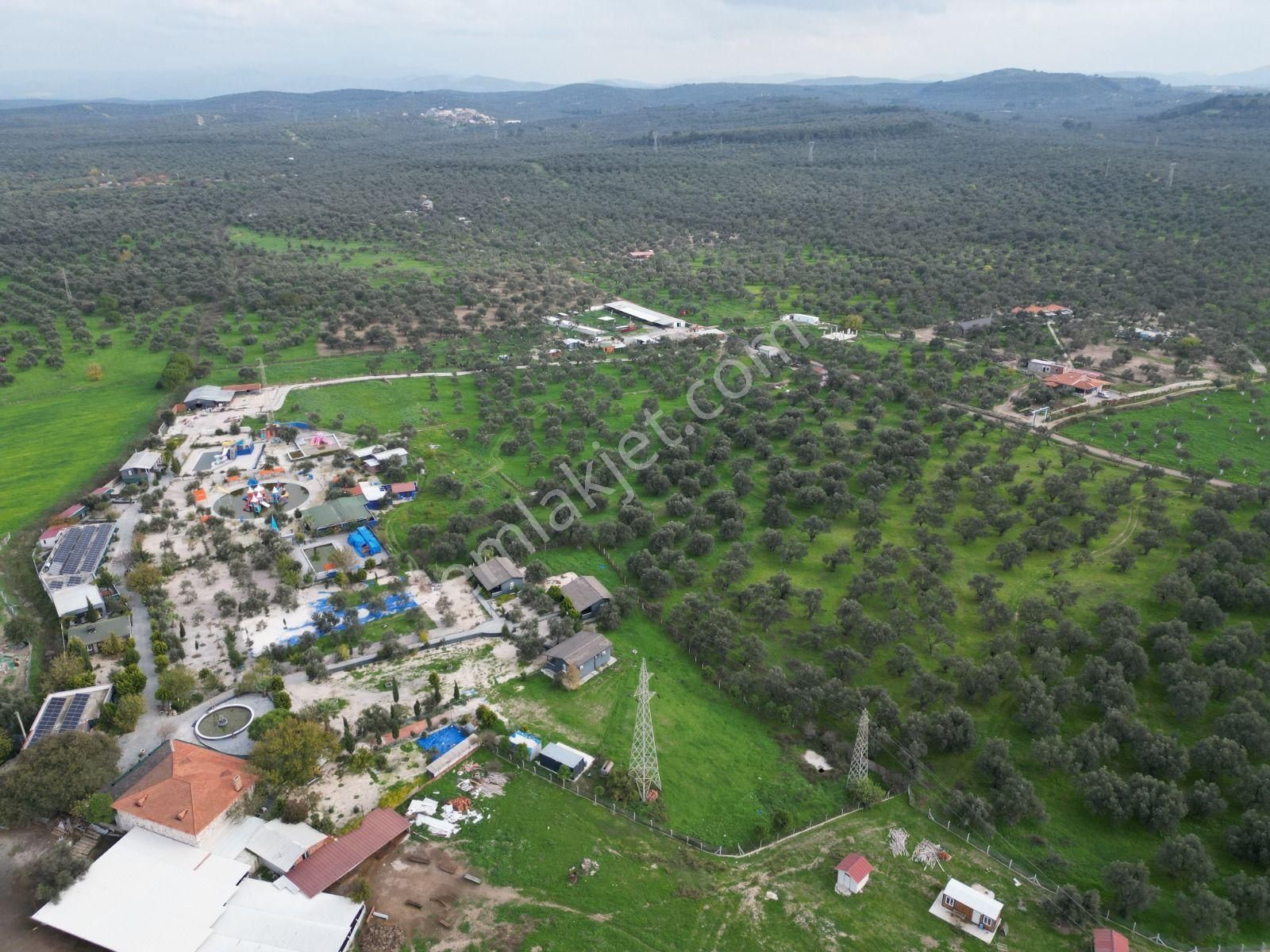 Ayvalık Fethiye’de Yola Yakın Satılık - Görsel 6