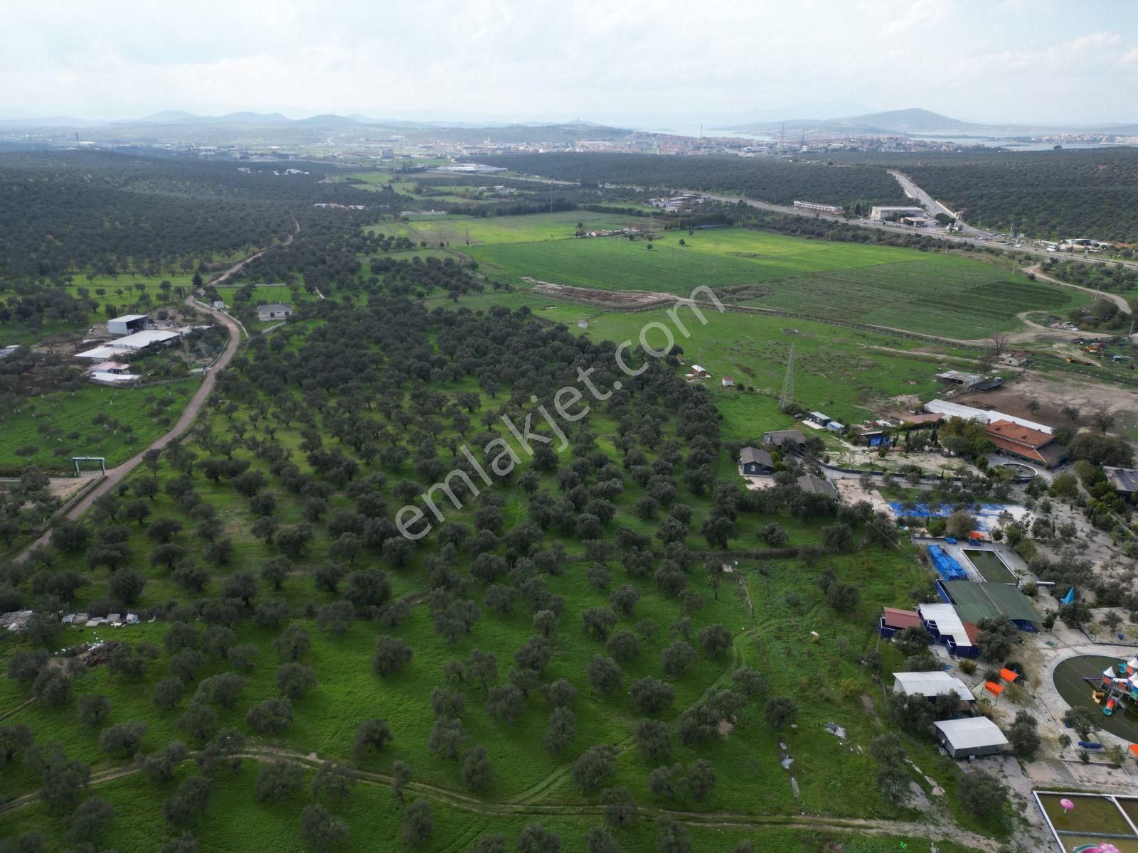 Ayvalık Fethiye’de Yola Yakın Satılık - Görsel 18