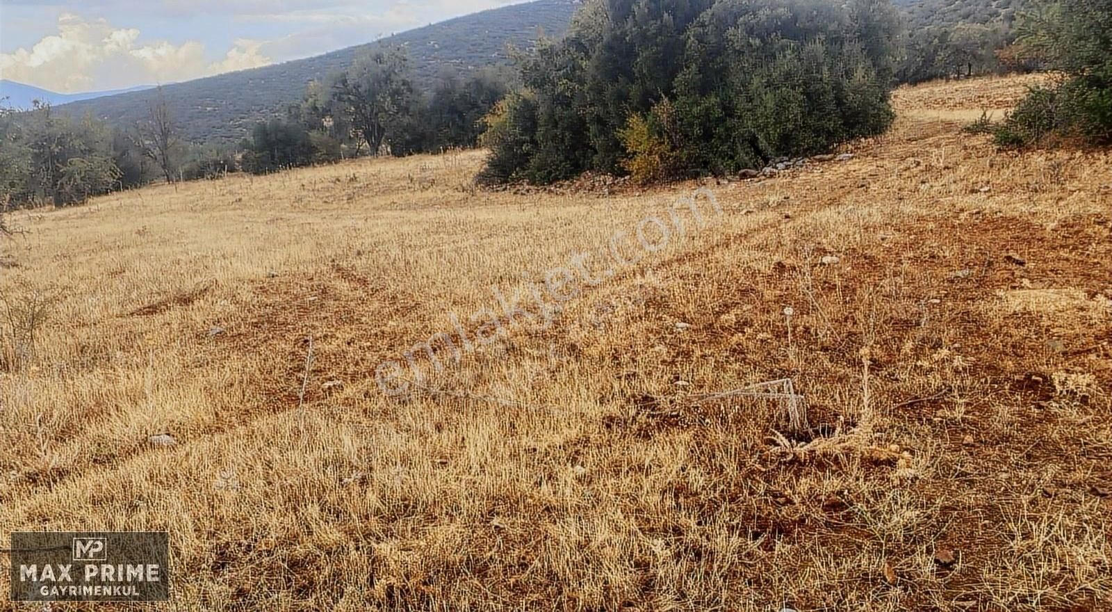 Max Prıme | Tavas Uluköy'de 2.795 M2 Yatırımlık Fırsat Tarla - Görsel 2