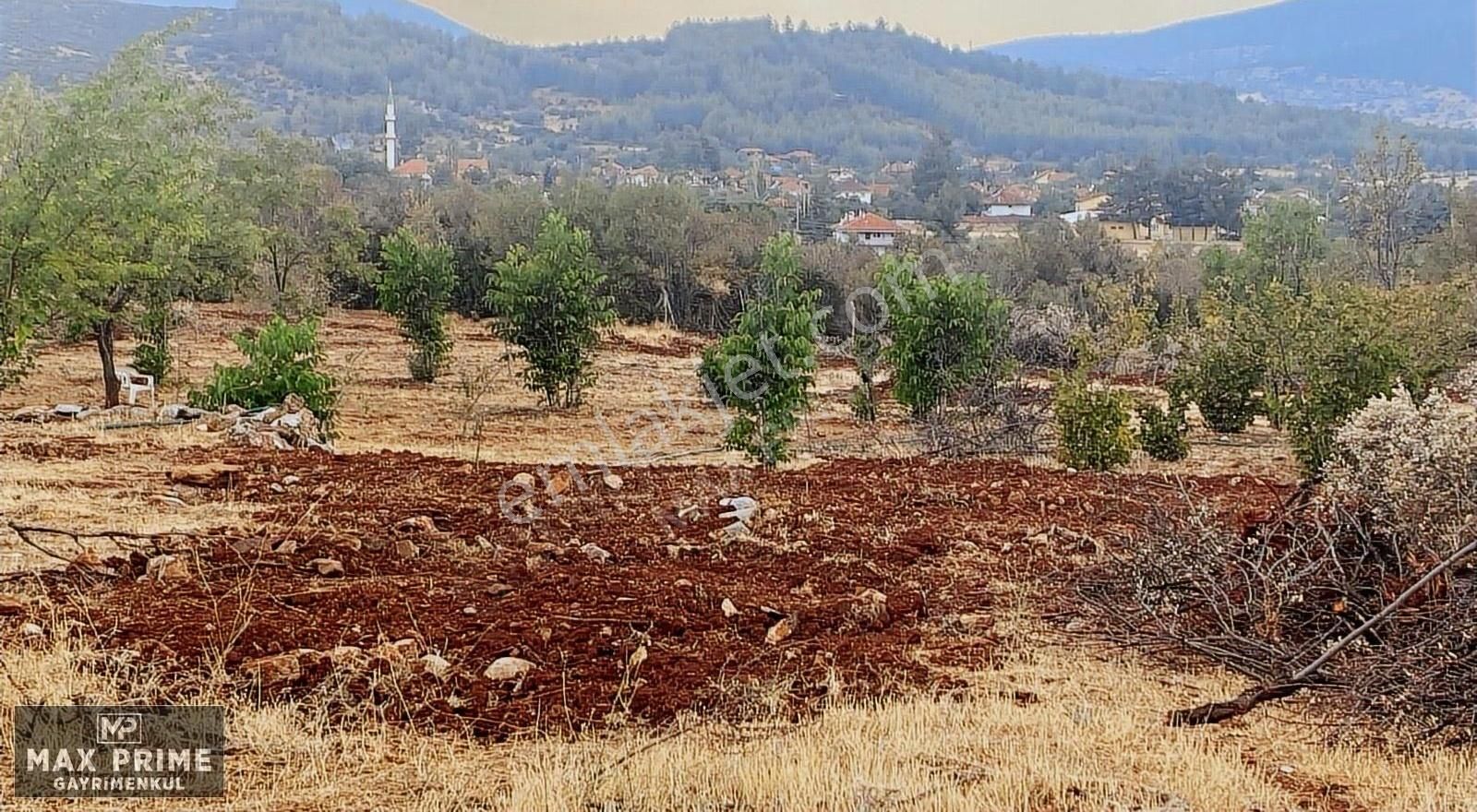 Max Prıme | Tavas Uluköy'de 2.795 M2 Yatırımlık Fırsat Tarla