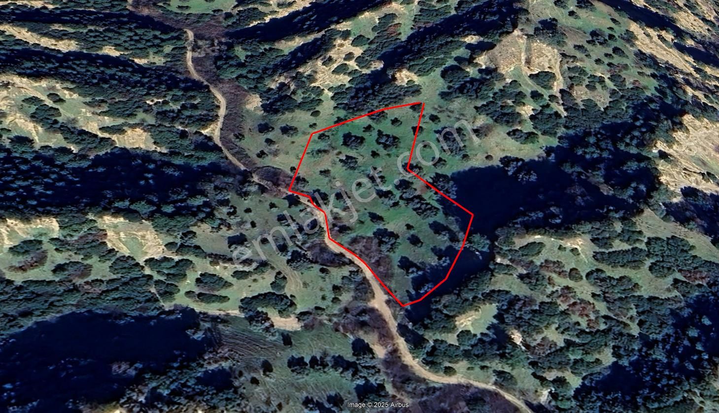 Nazilli Hasköy Su Kuyulu Zeytin Ve İncir Bahçesi 6000 M2 - Görsel 17