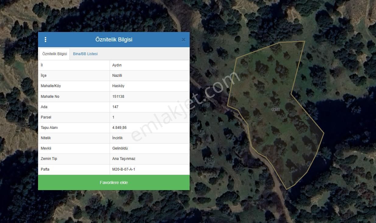 Nazilli Hasköy Su Kuyulu Zeytin Ve İncir Bahçesi 6000 M2 - Görsel 9