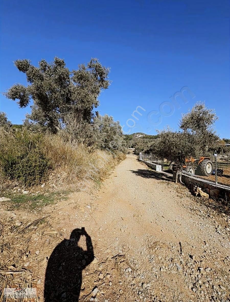 Akyaka'nın Yaylası Kızılağaçta 1.948 M2 İmarlı Tarla - Görsel 2