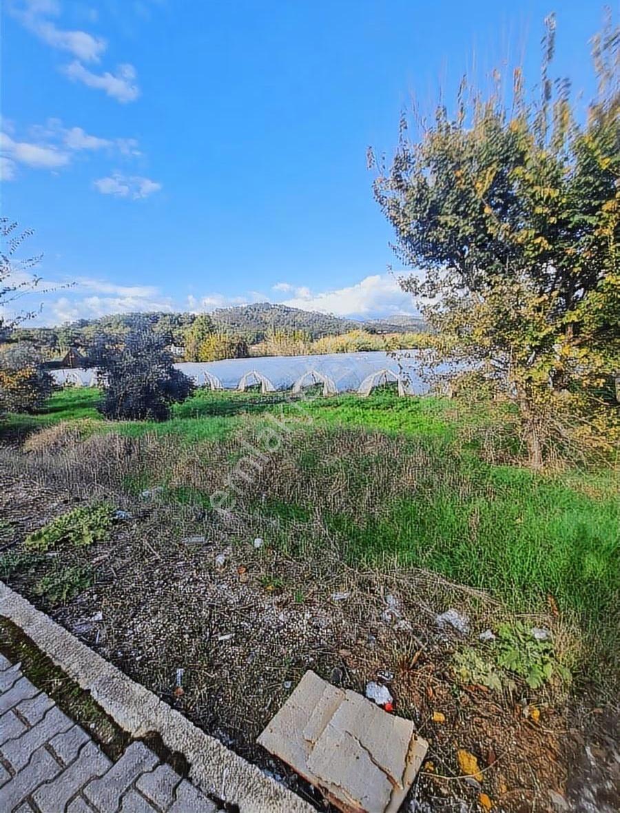 Yanıklar Mh.13500 M2 Satılık Tarla - Görsel 6