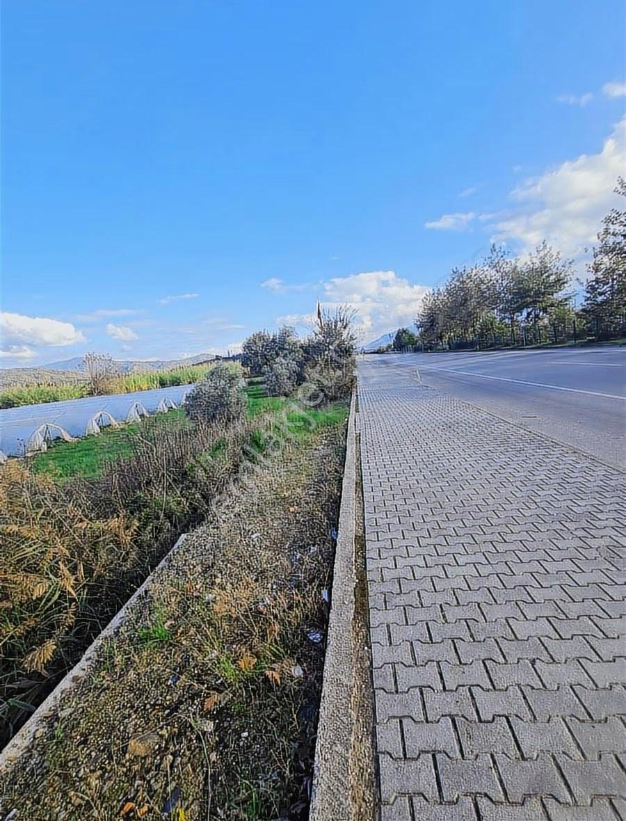 Yanıklar Mh.13500 M2 Satılık Tarla - Görsel 13