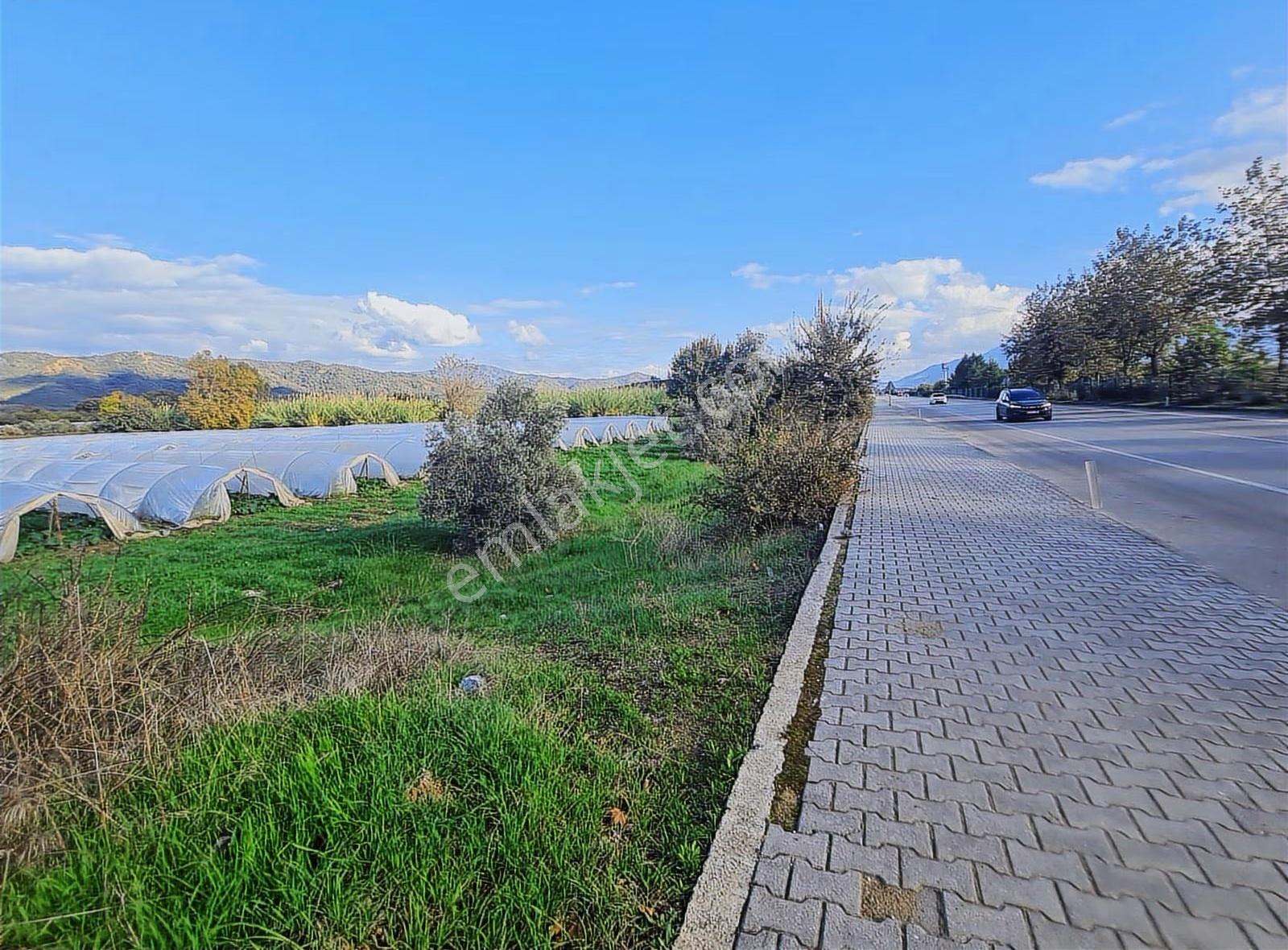 Yanıklar Mh.13500 M2 Satılık Tarla - Görsel 8