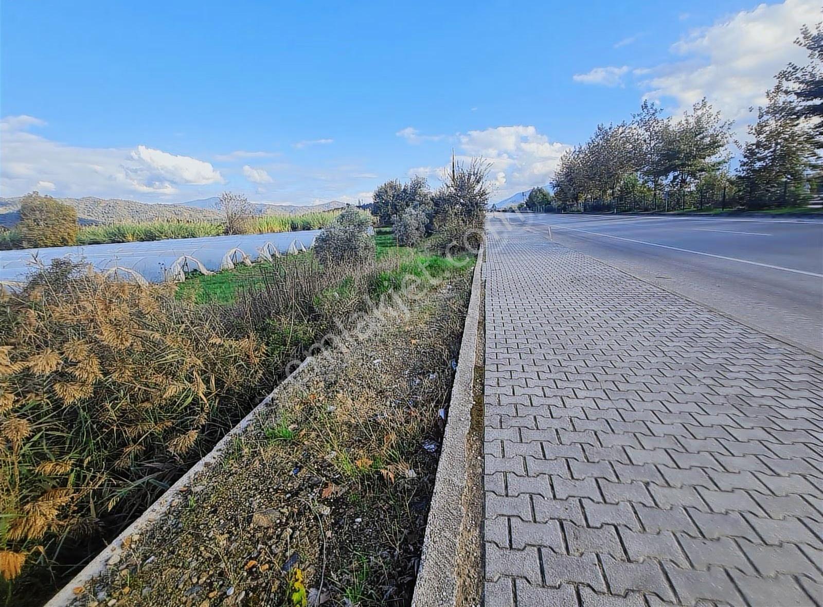 Yanıklar Mh.13500 M2 Satılık Tarla - Görsel 16