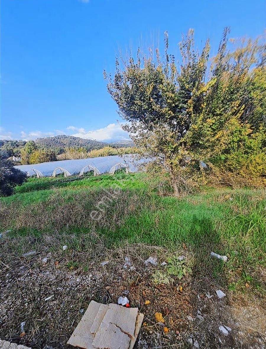 Yanıklar Mh.13500 M2 Satılık Tarla - Görsel 5