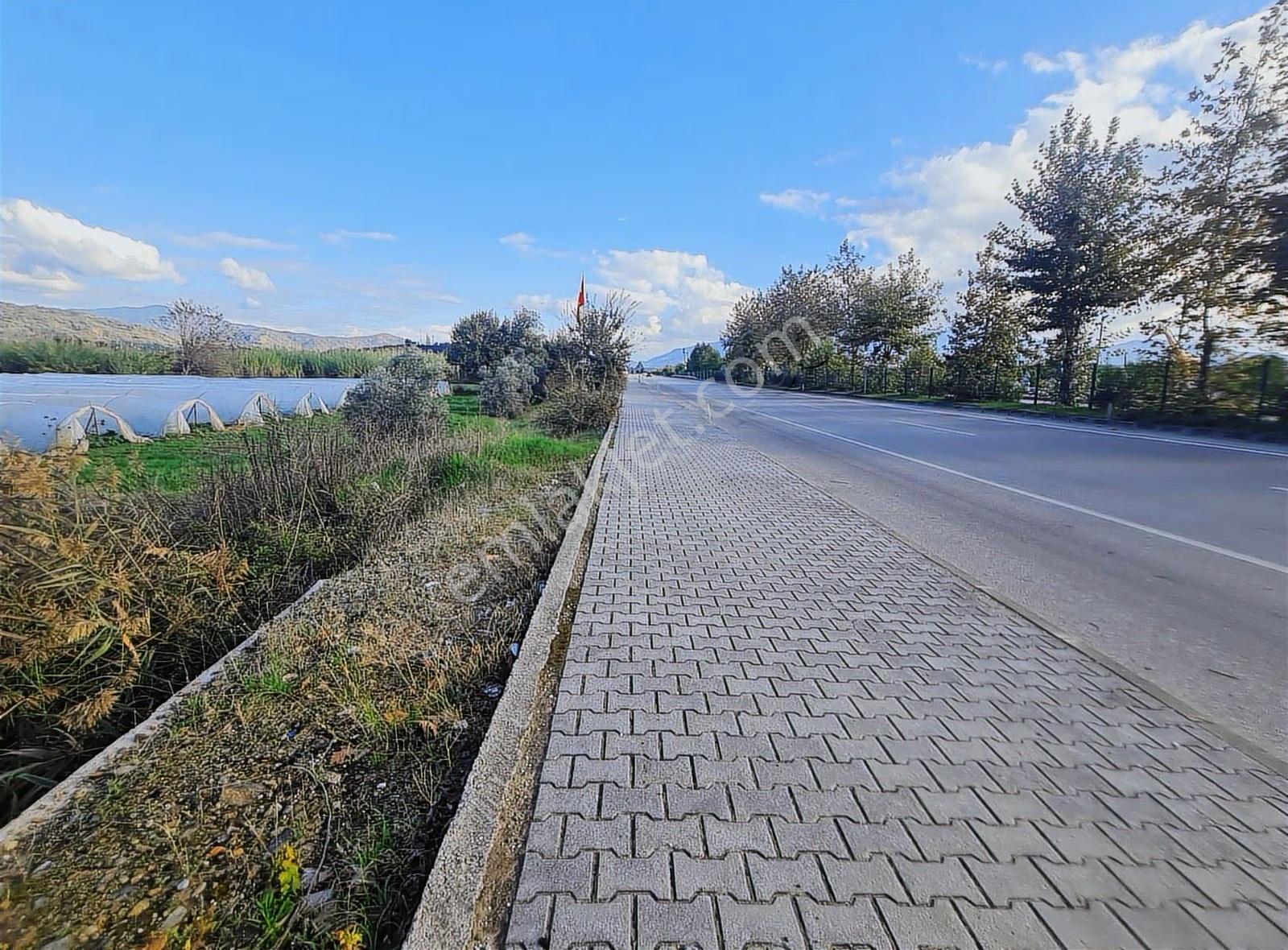 Yanıklar Mh.13500 M2 Satılık Tarla - Görsel 17