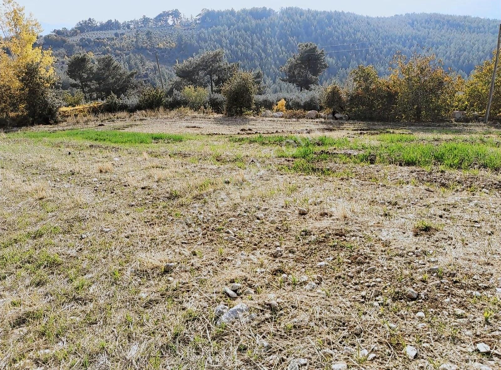 Yakaköyde 2.110 M² Fırsat Arsa Satılıktır ( Mükemmel Konum Da ) - Görsel 8