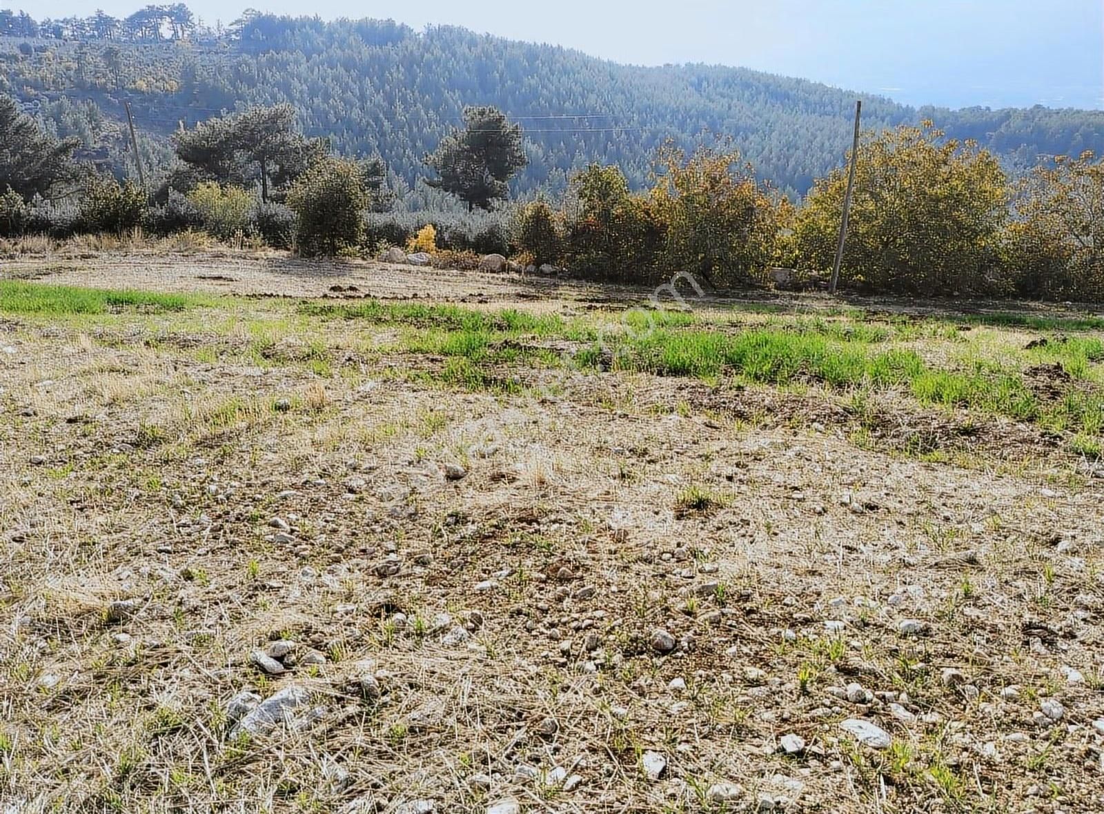Yakaköyde 2.110 M² Fırsat Arsa Satılıktır ( Mükemmel Konum Da ) - Görsel 20